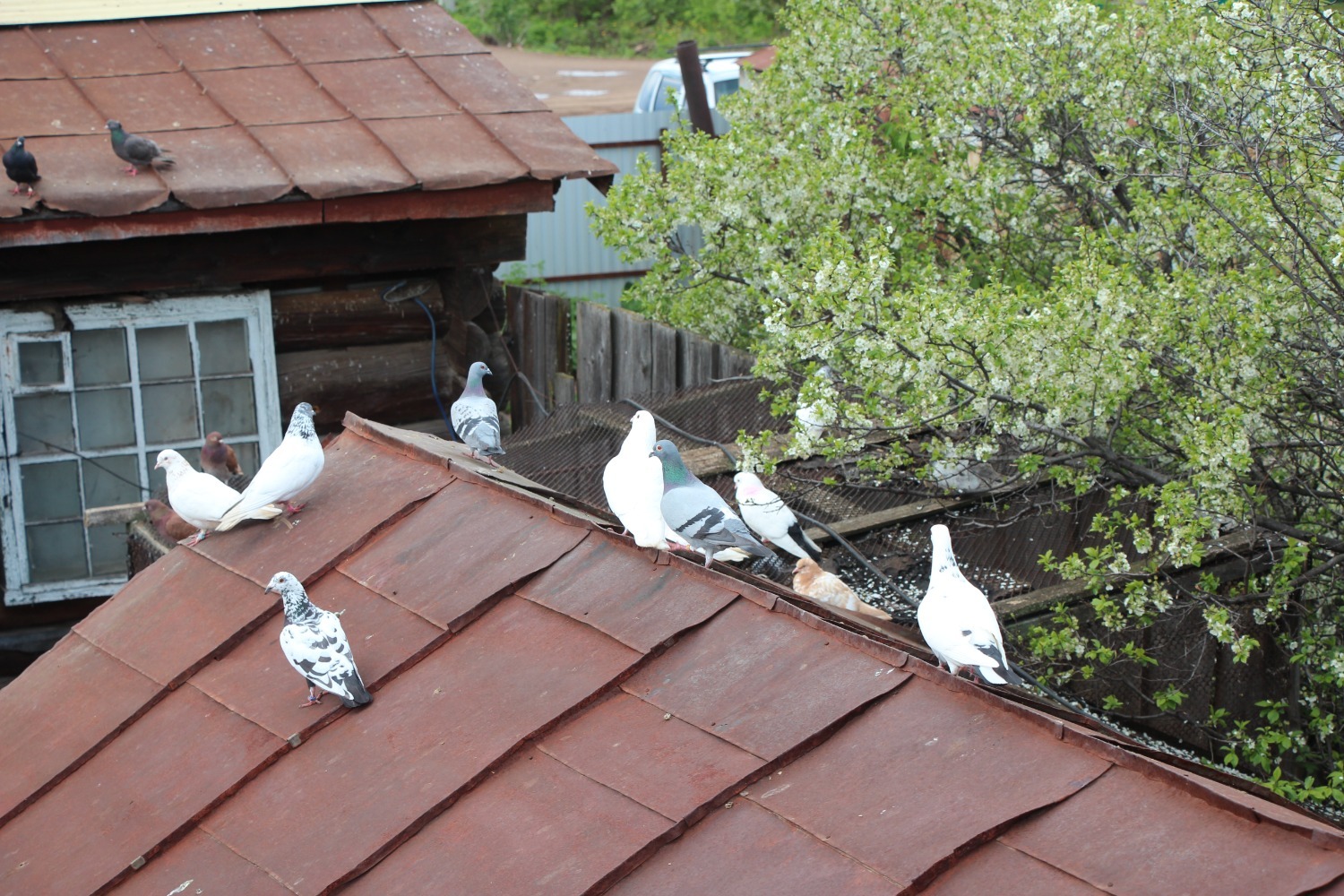 Евгении Сюткиной.