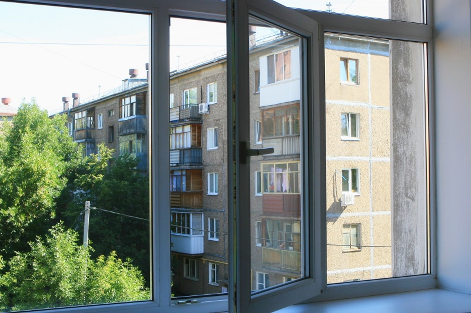 Фото Андрея Старостина.