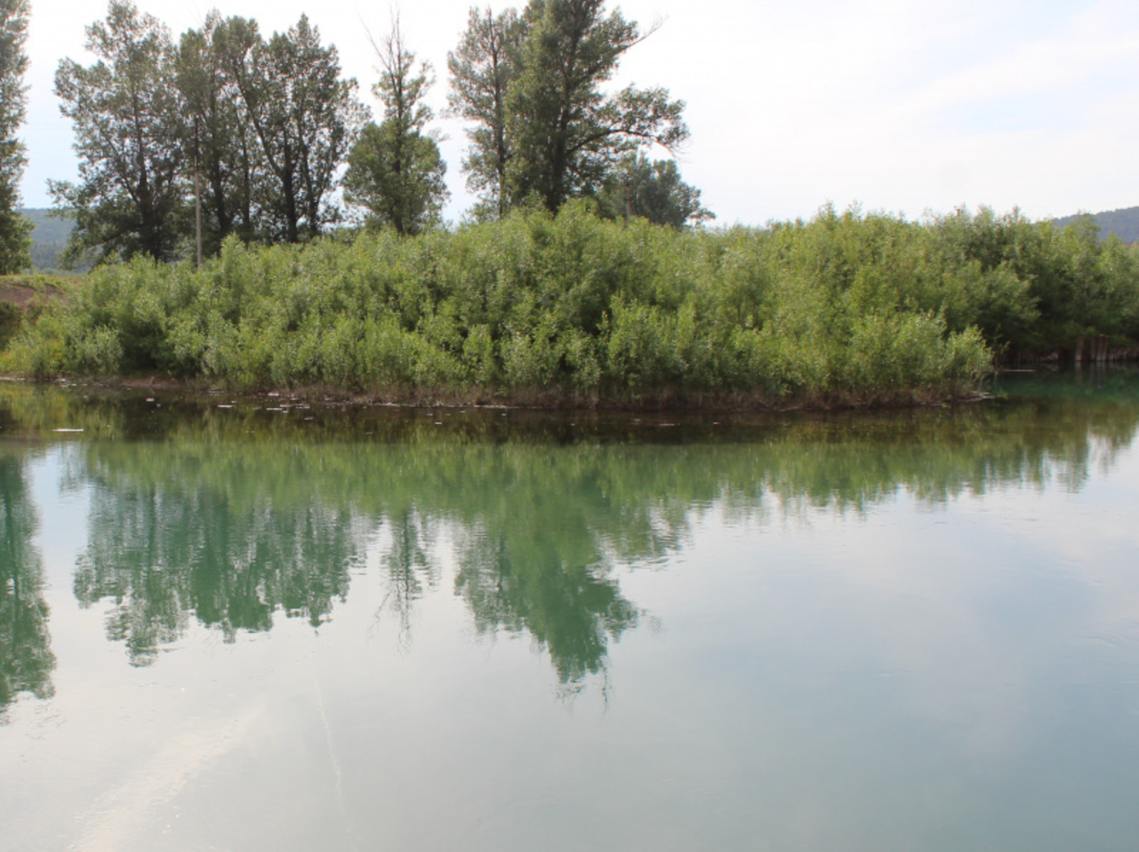 Фото Дарьи Святохиной.