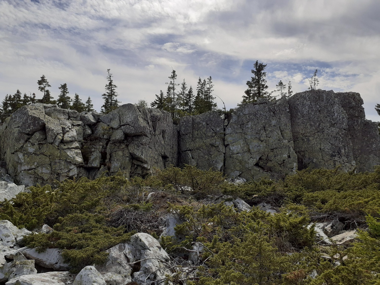 Владимира Шакиева.