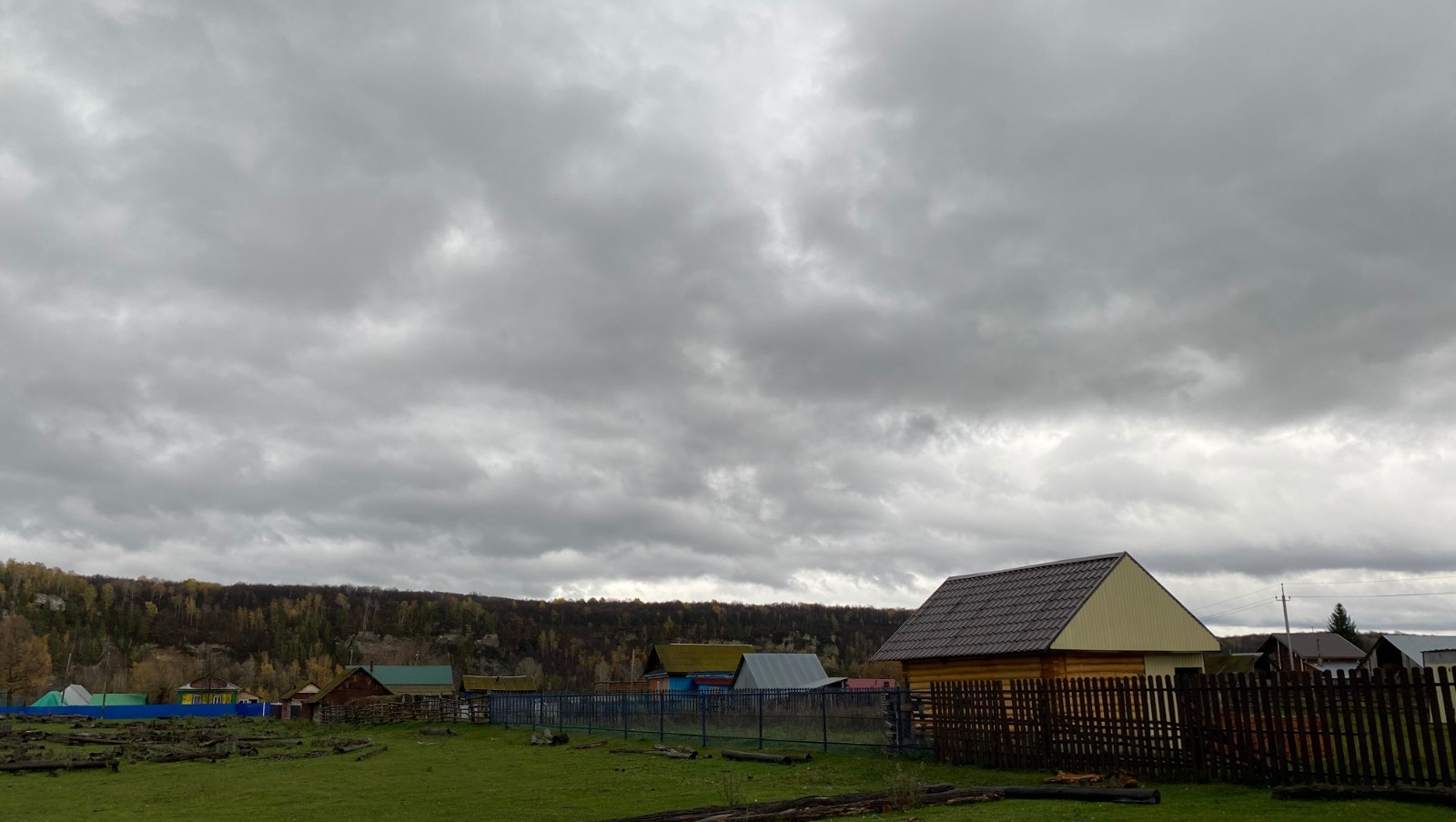 Елены Колоколовой.