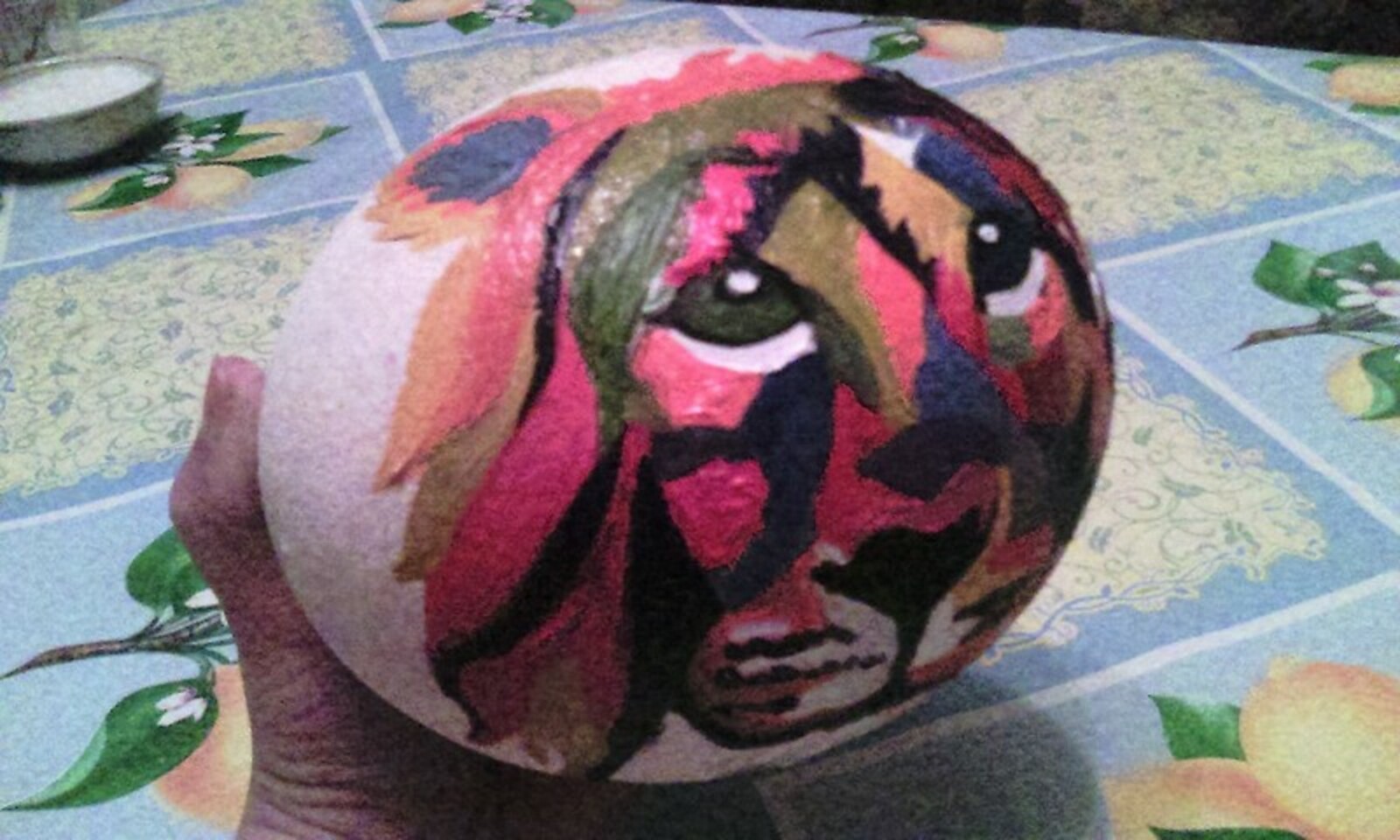 Фото предоставлено Региной Ишмуратовой.