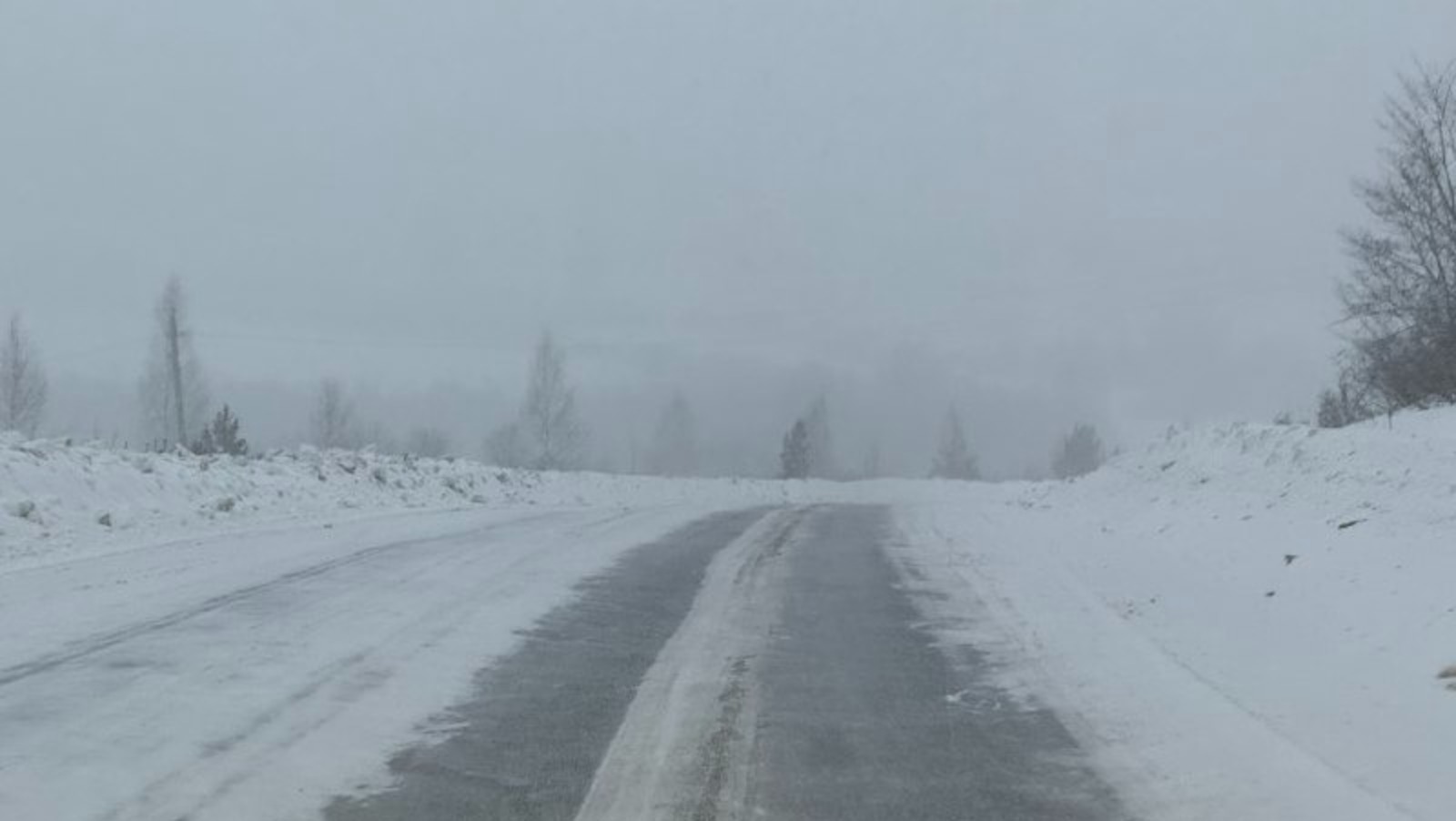 Елены Колоколовой.  «Общественная электронная газета».