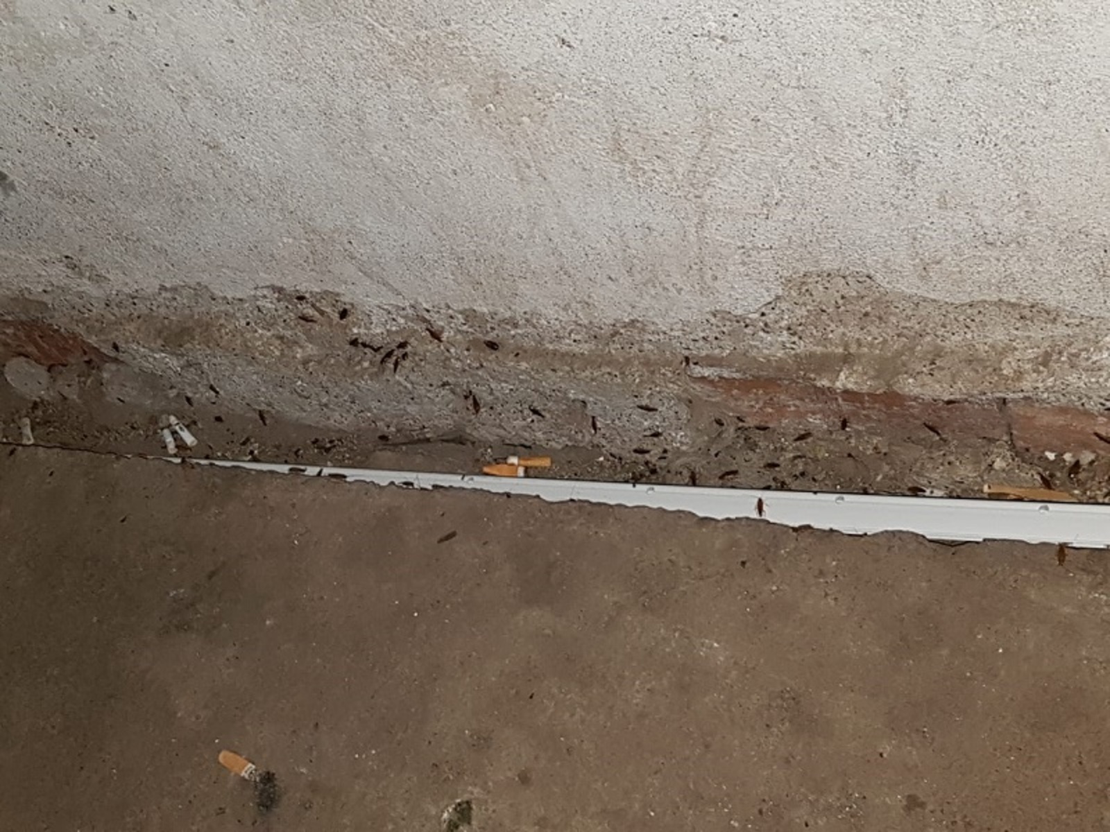 Фото предоставлено жильцами дома.