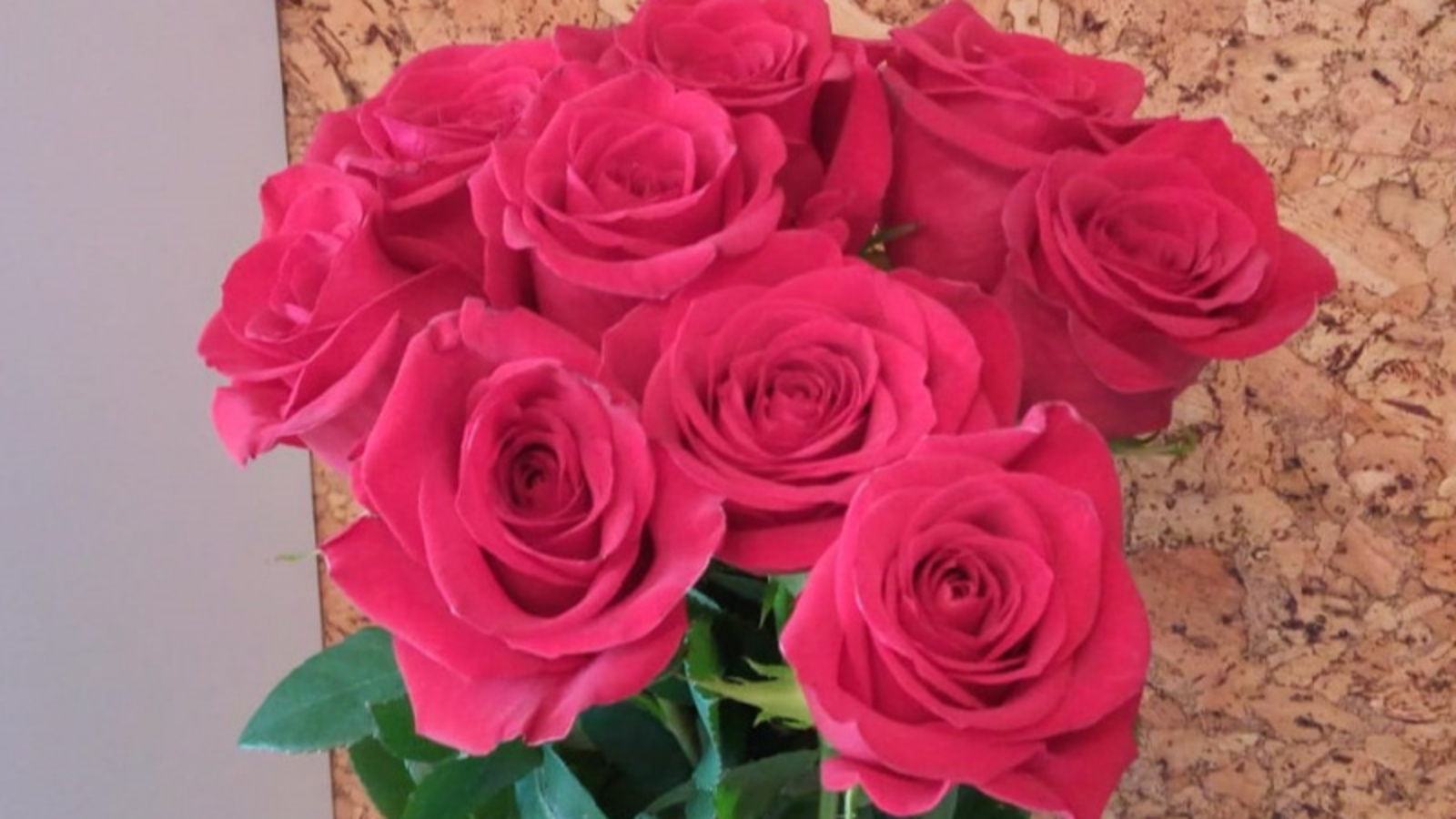 Фото Евгении Сюткиной.