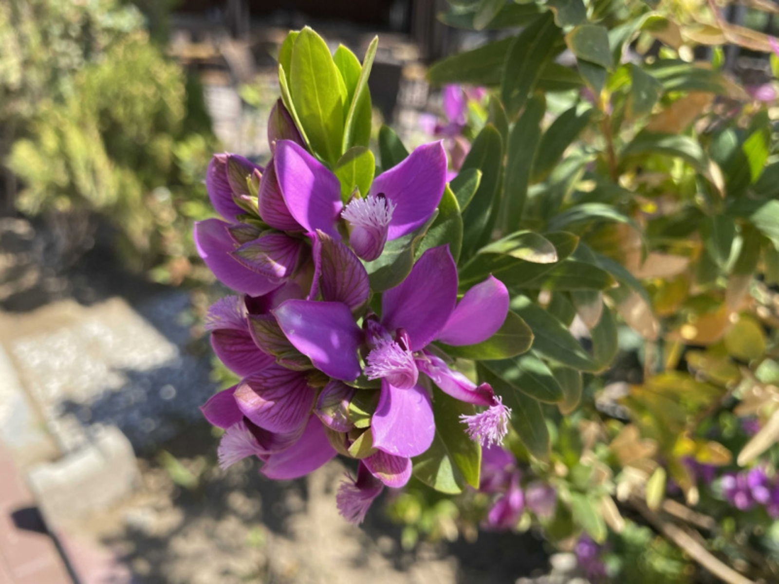 Фото автора.