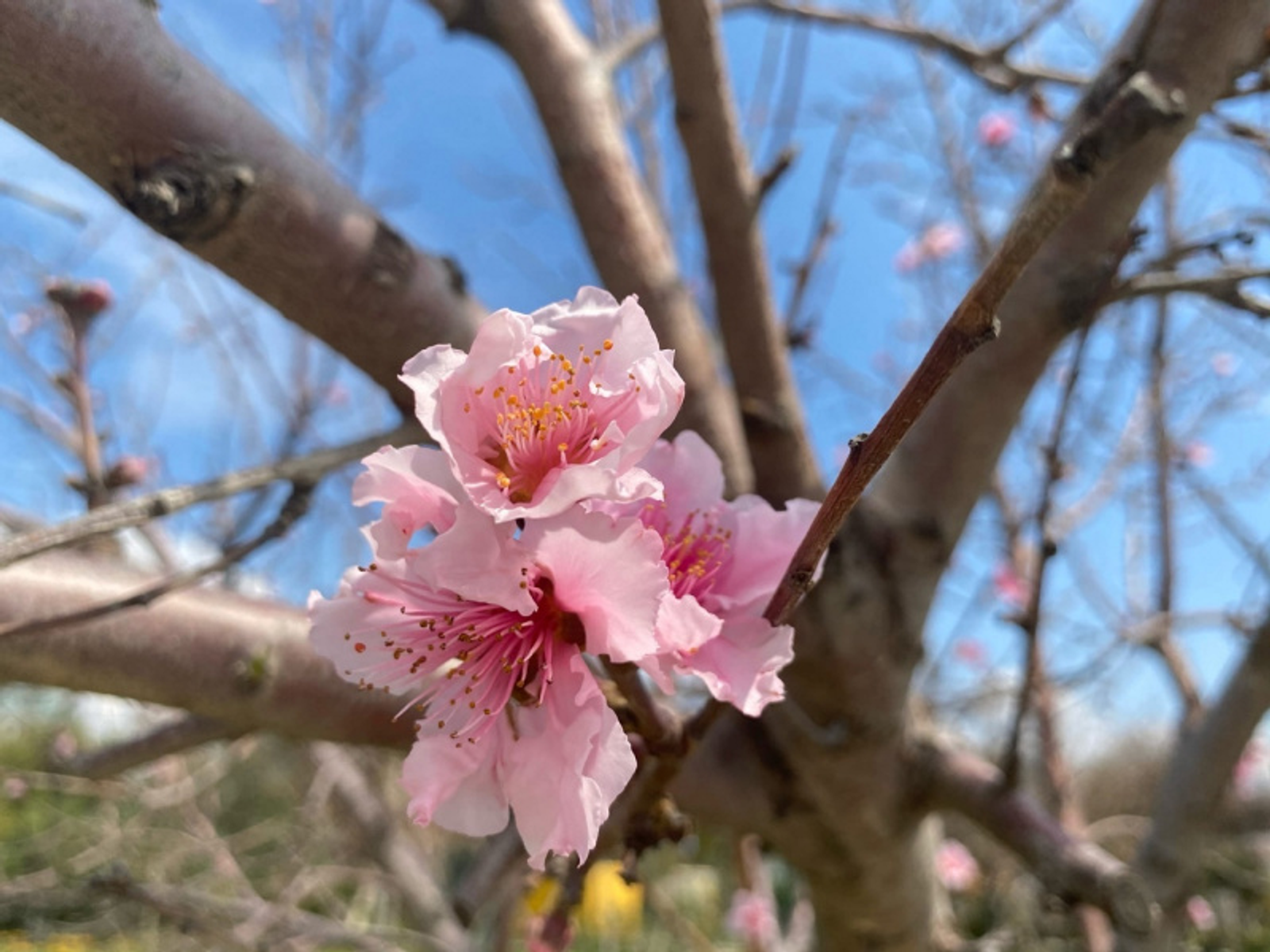 Фото автора.