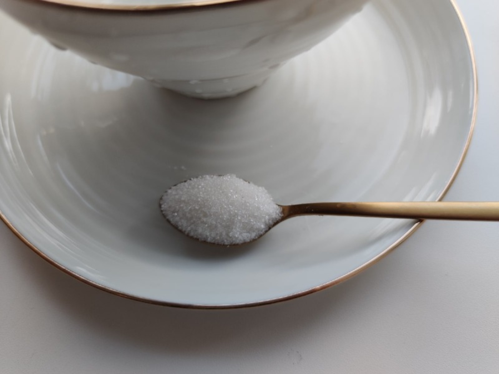 Дарьи Святохиной.