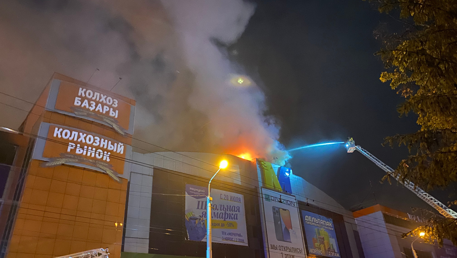 Елены Колоколовой.