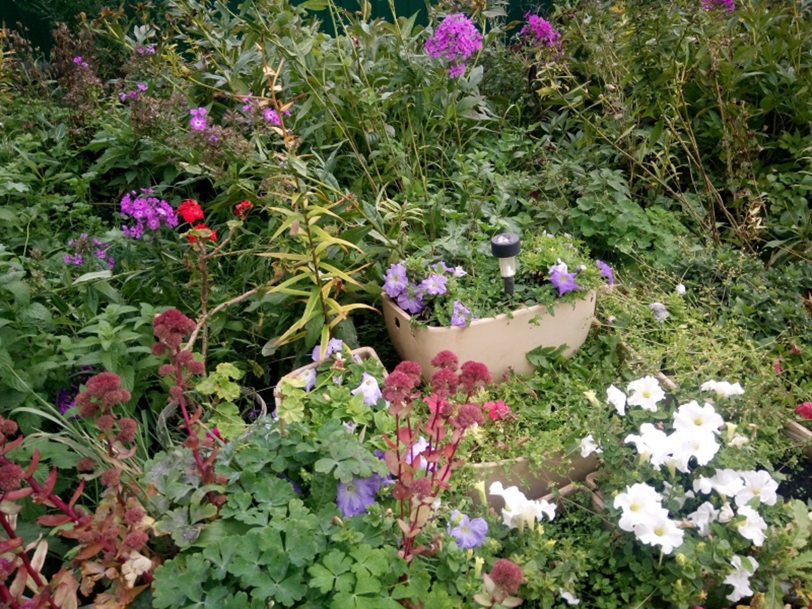 Фото Васили Саитовой.