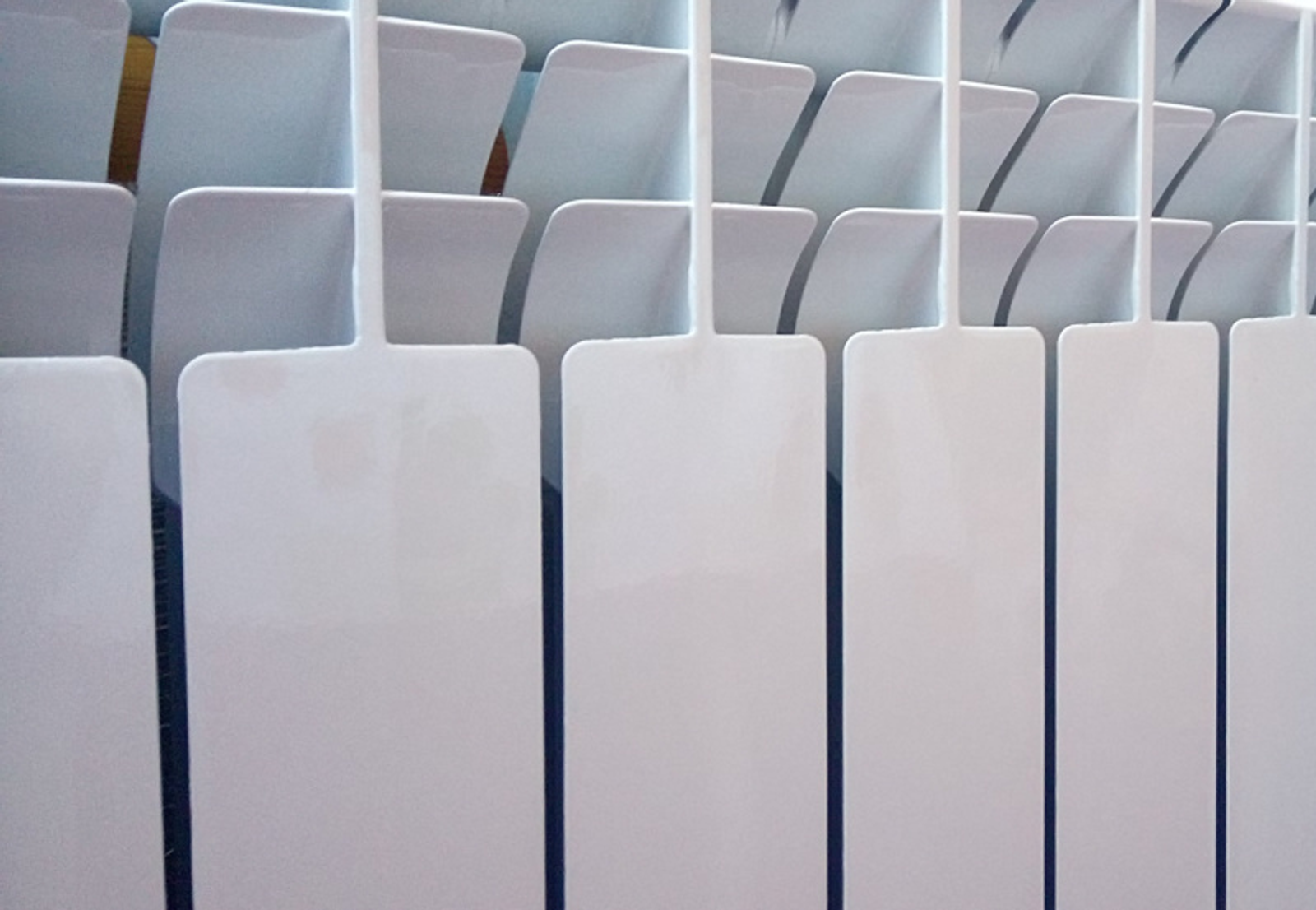 Фото Васили Саитовой.