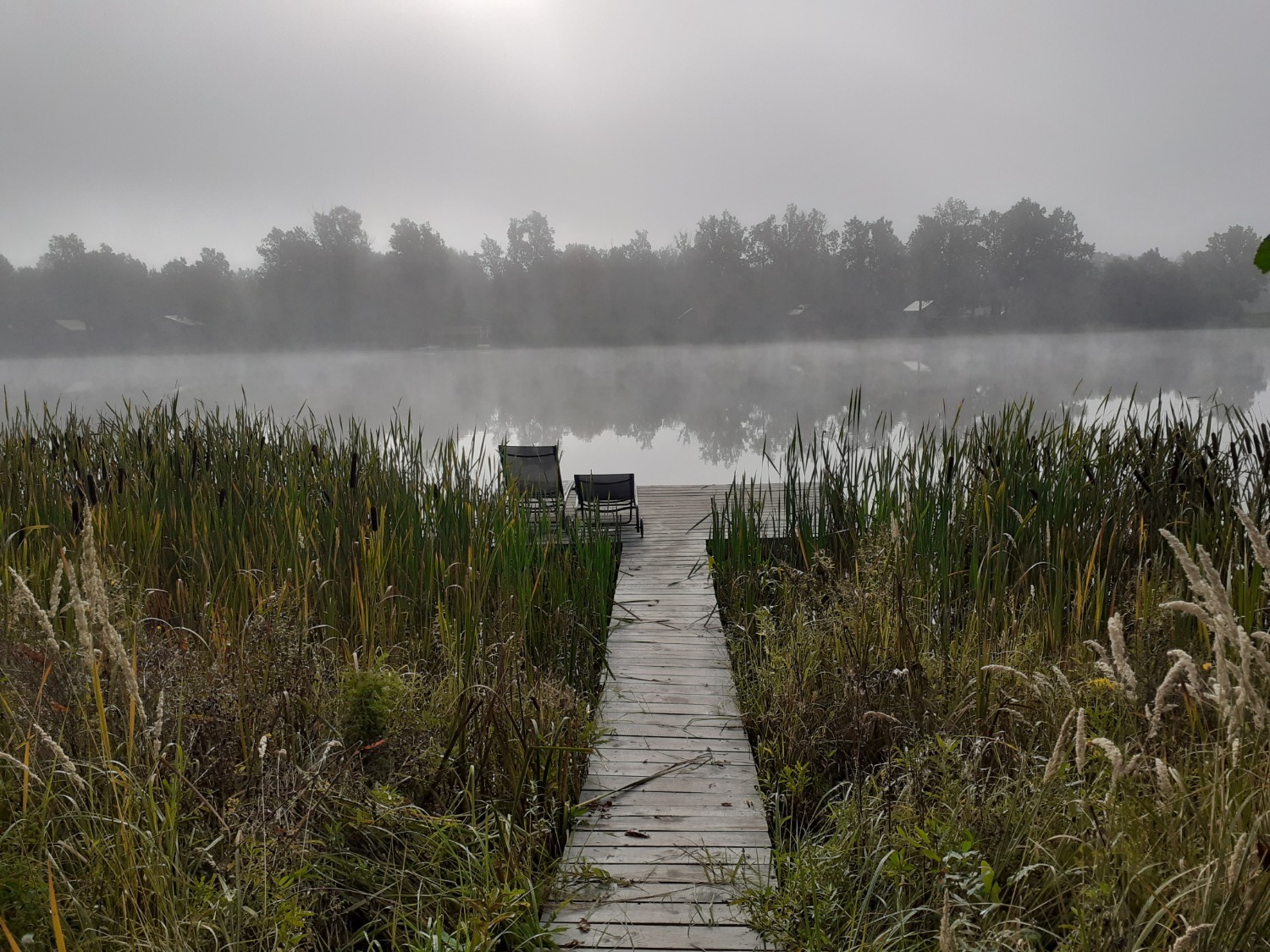 Владимира Шакиева.