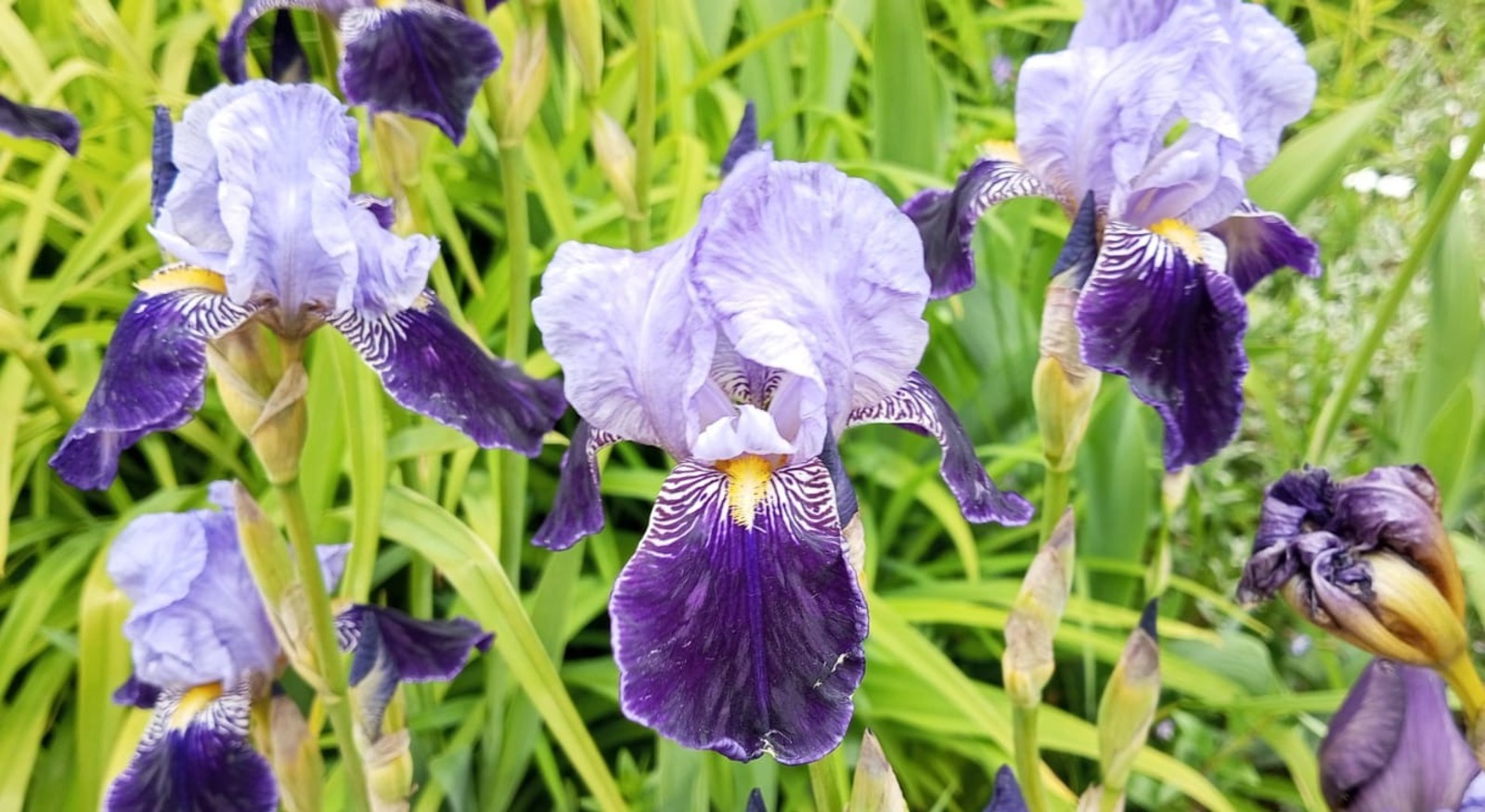 Евгении Сюткиной.