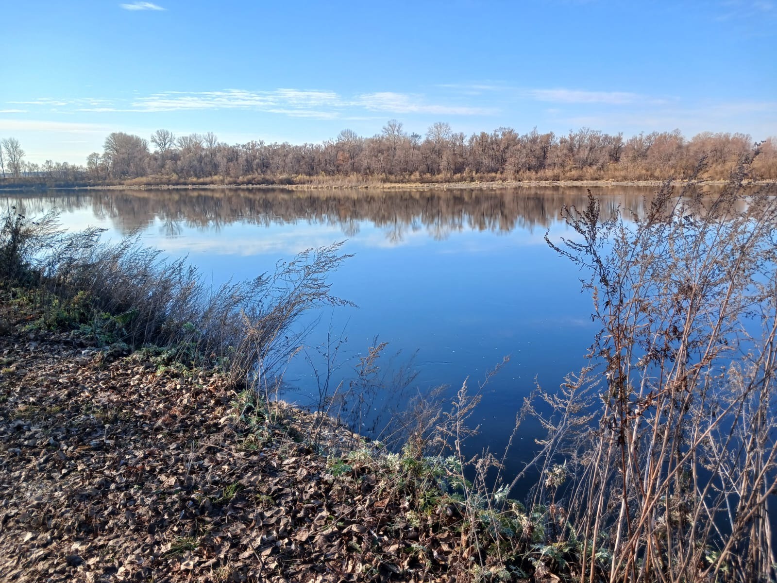 Васили Саитовой.