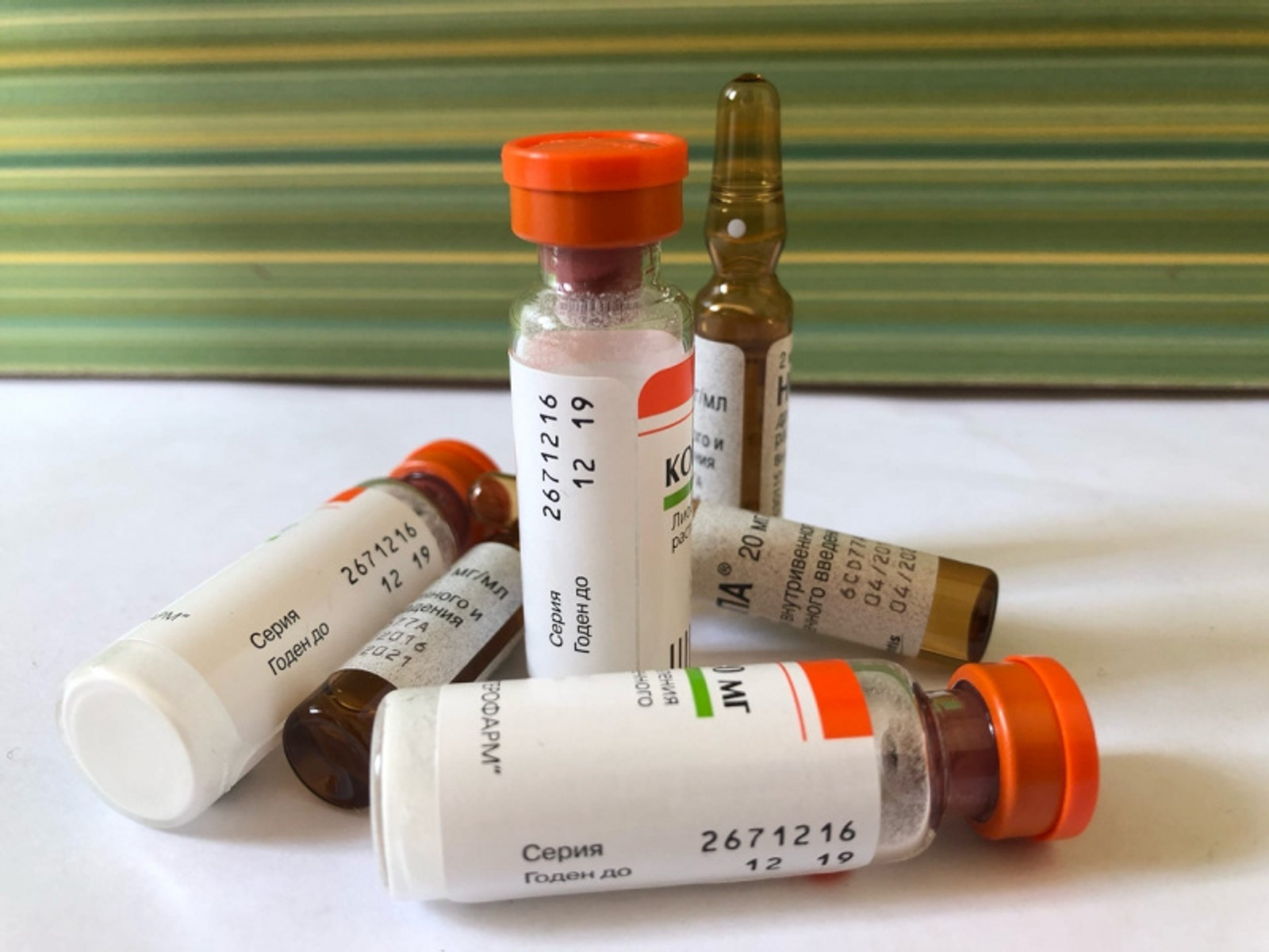 Фото автора.