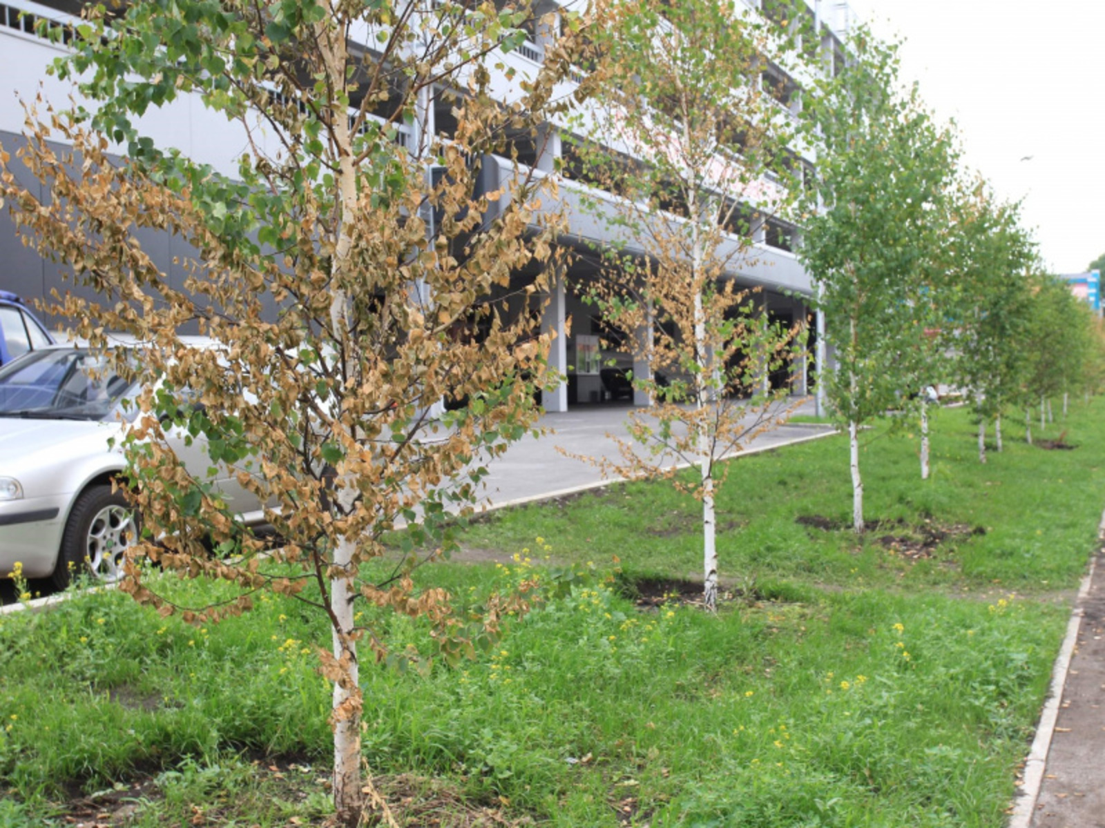 Фото Олега Яровикова.