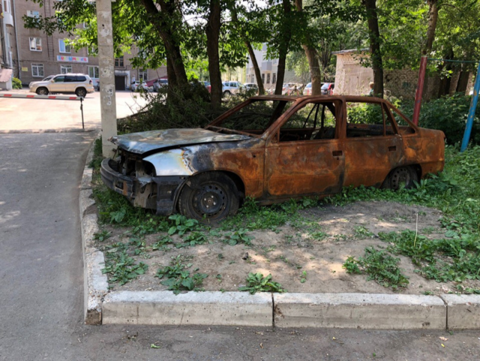 Фото Елены Колоколовой.