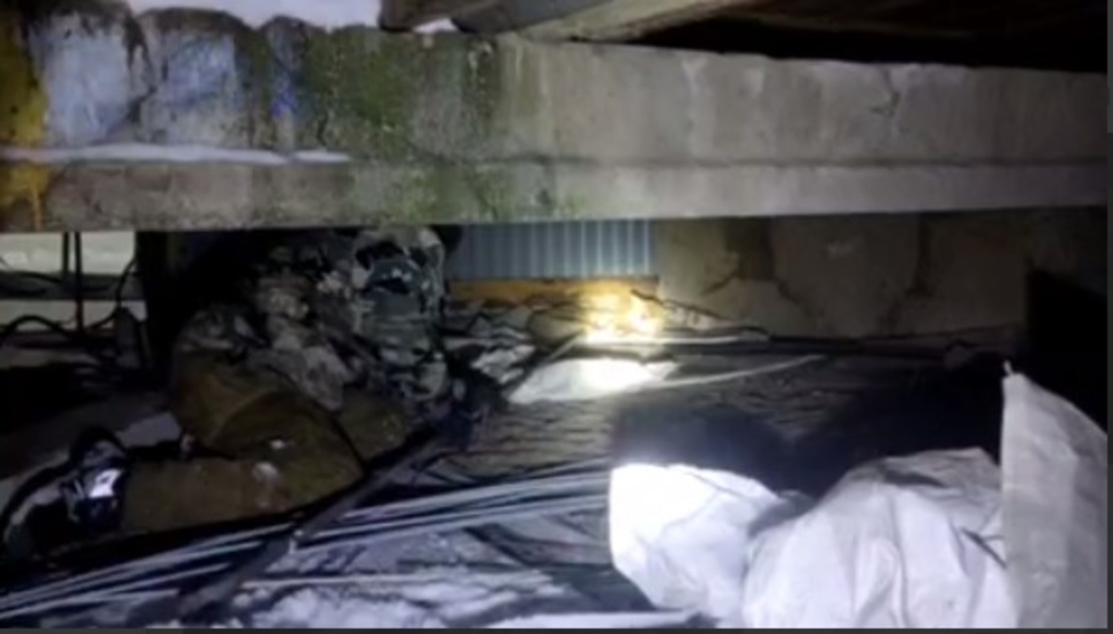 официальный канал центра «Пин и Пуф», скриншот видео. Telegram.