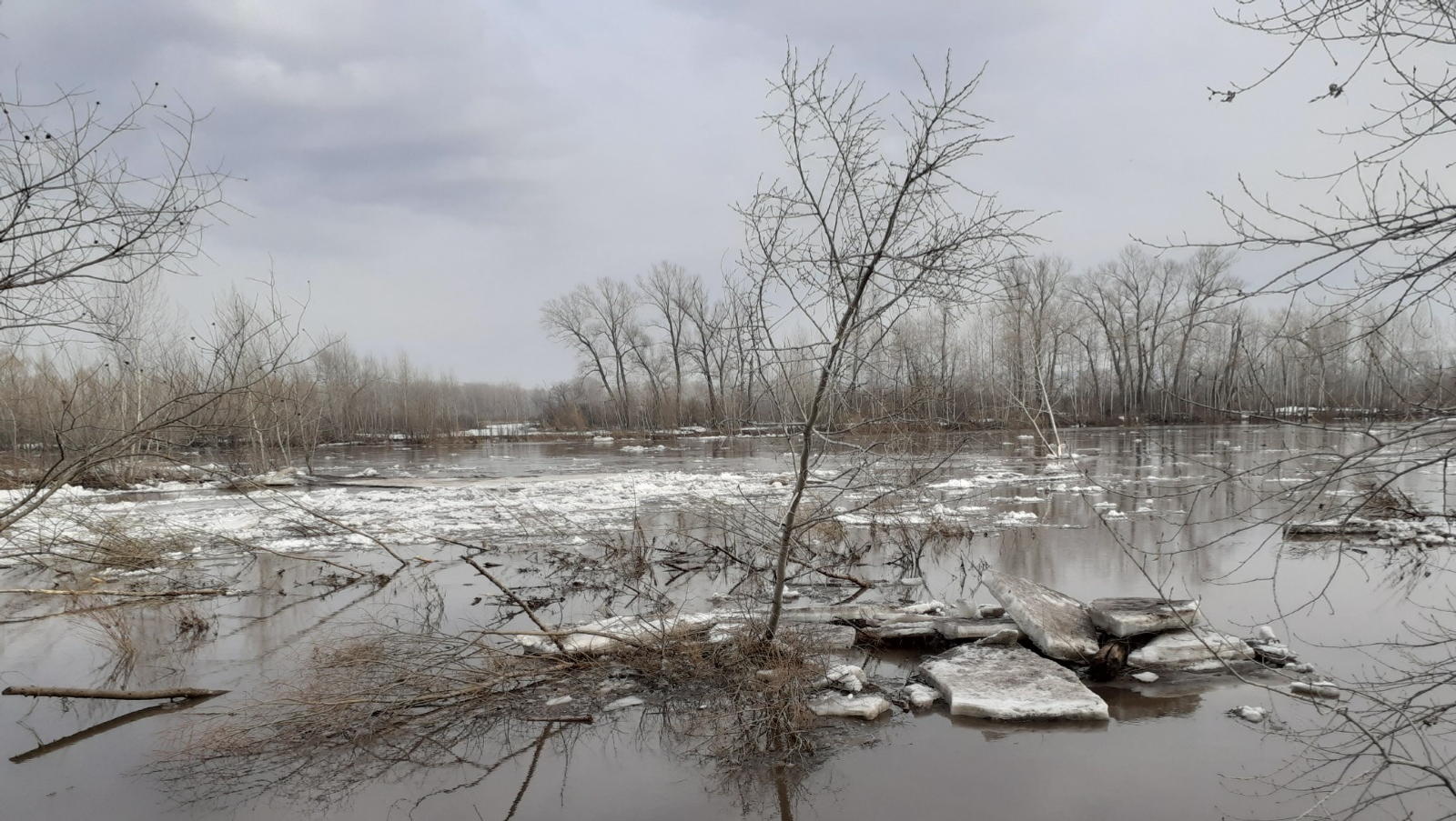 Владимира Шакиева. «Общественная электронная газета».