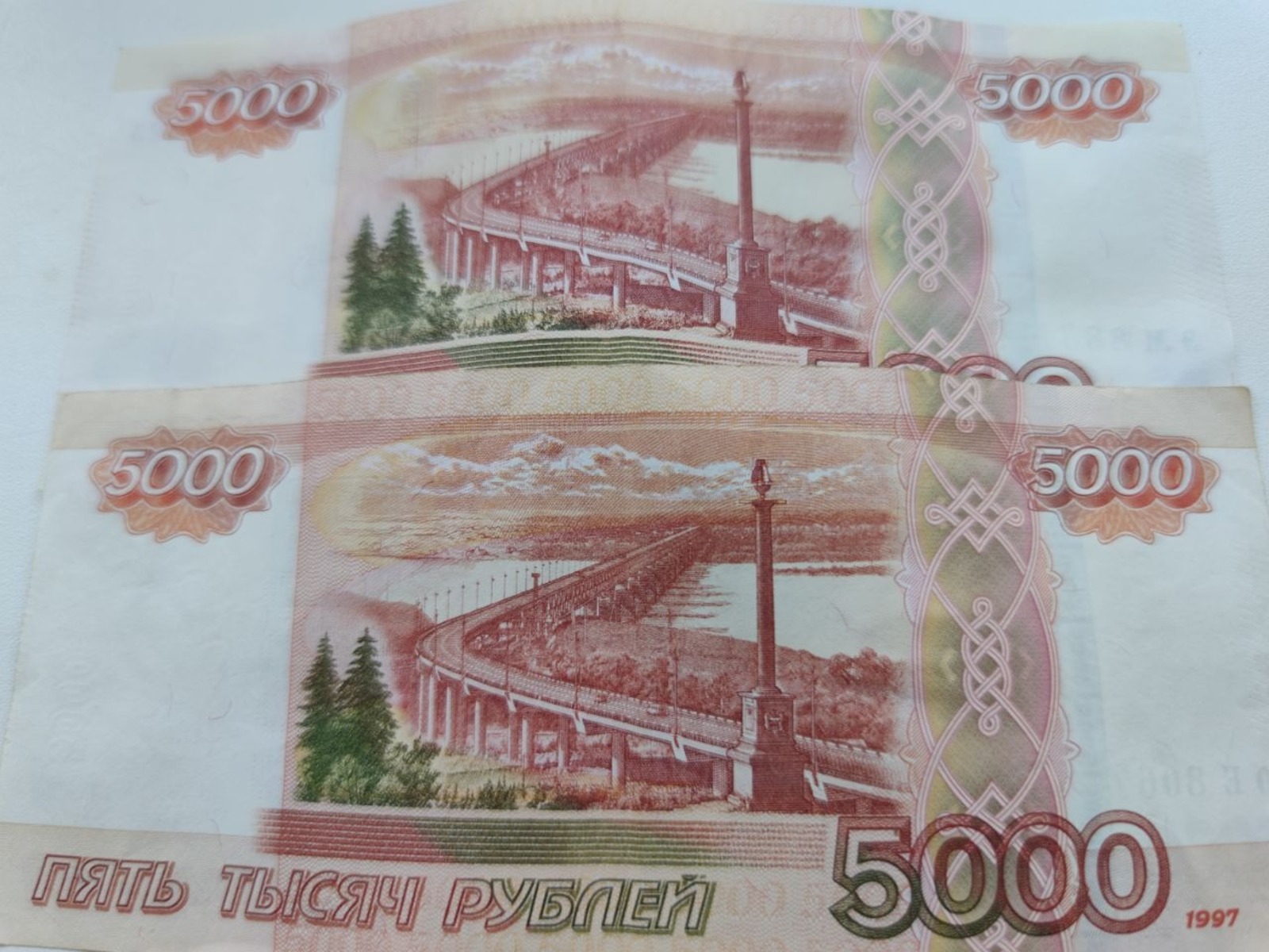 Дарьи Святохиной.