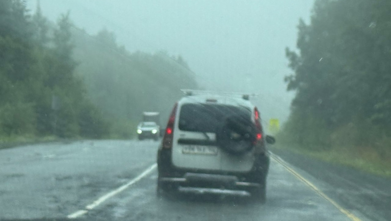 Елены Колоколовой.