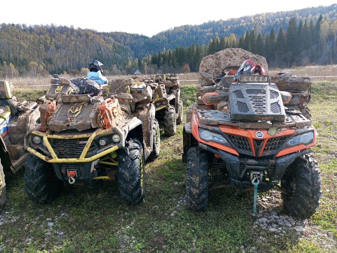 Евгении Сюткиной.