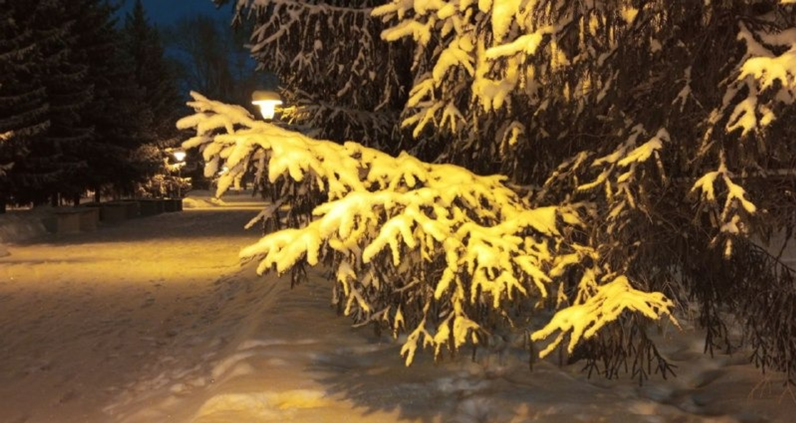 Евгении Сюткиной. «Общественная электронная газета».