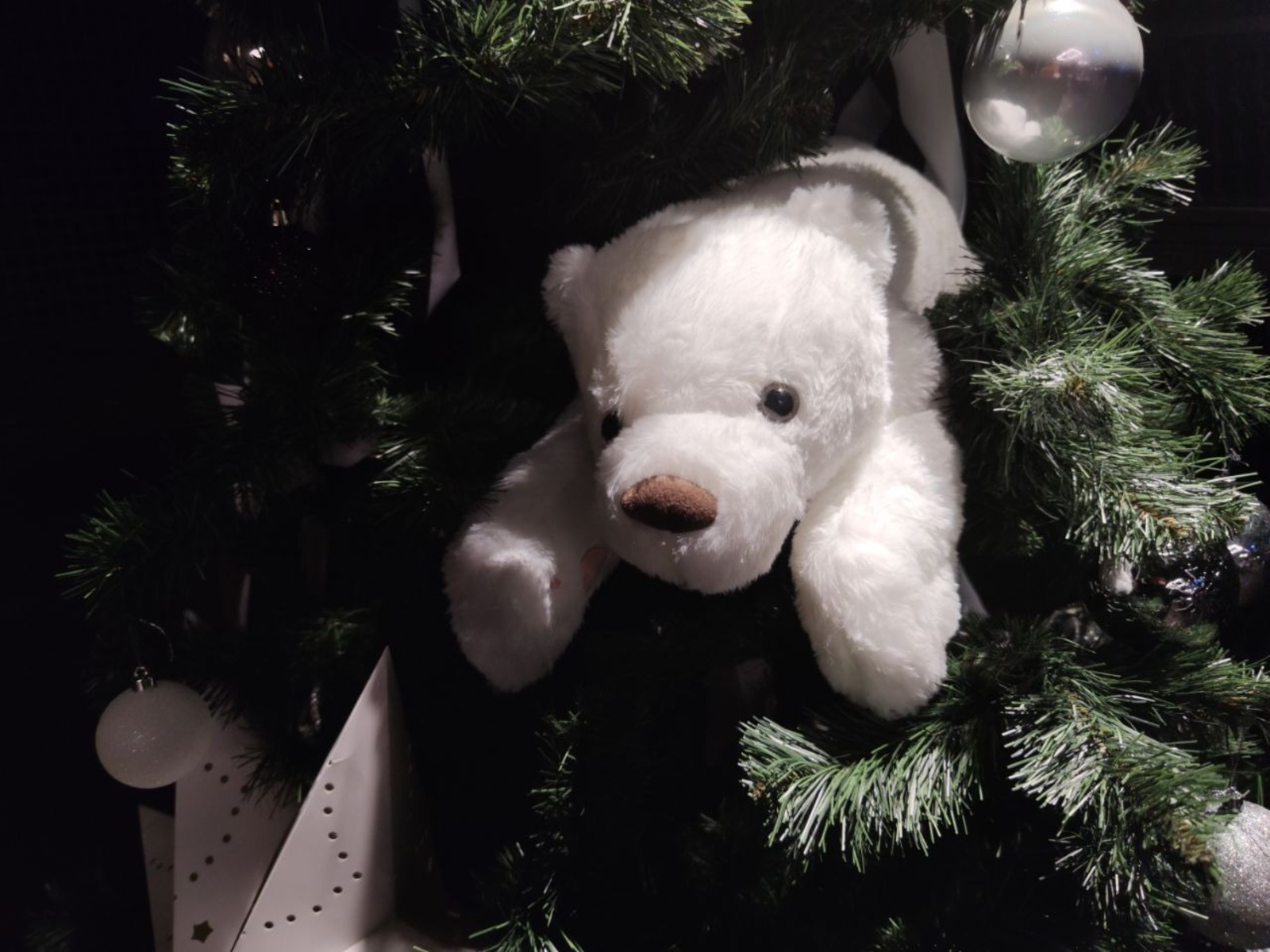 Дарьи Святохиной.