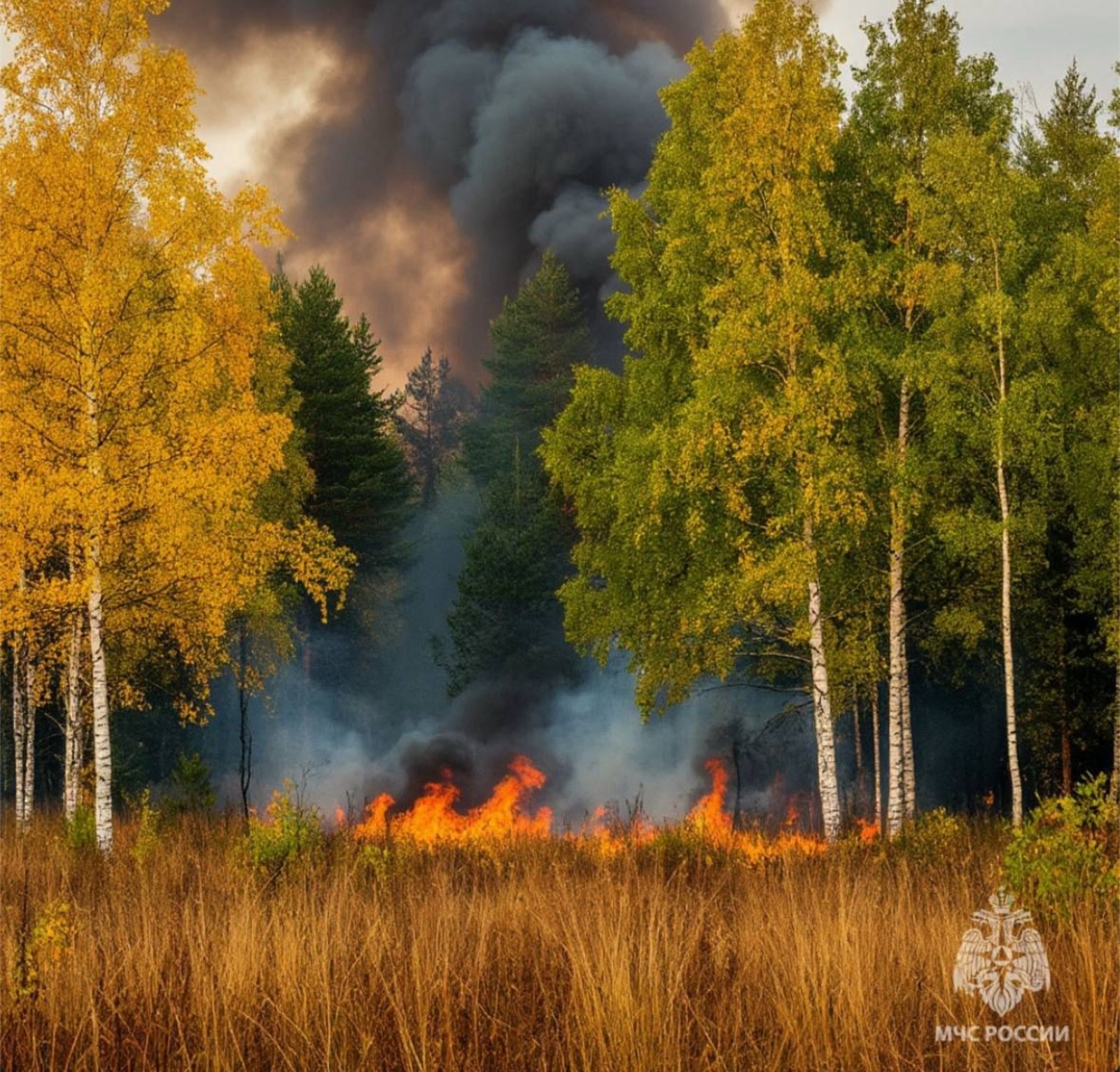 ГУ МЧС РФ по РБ.