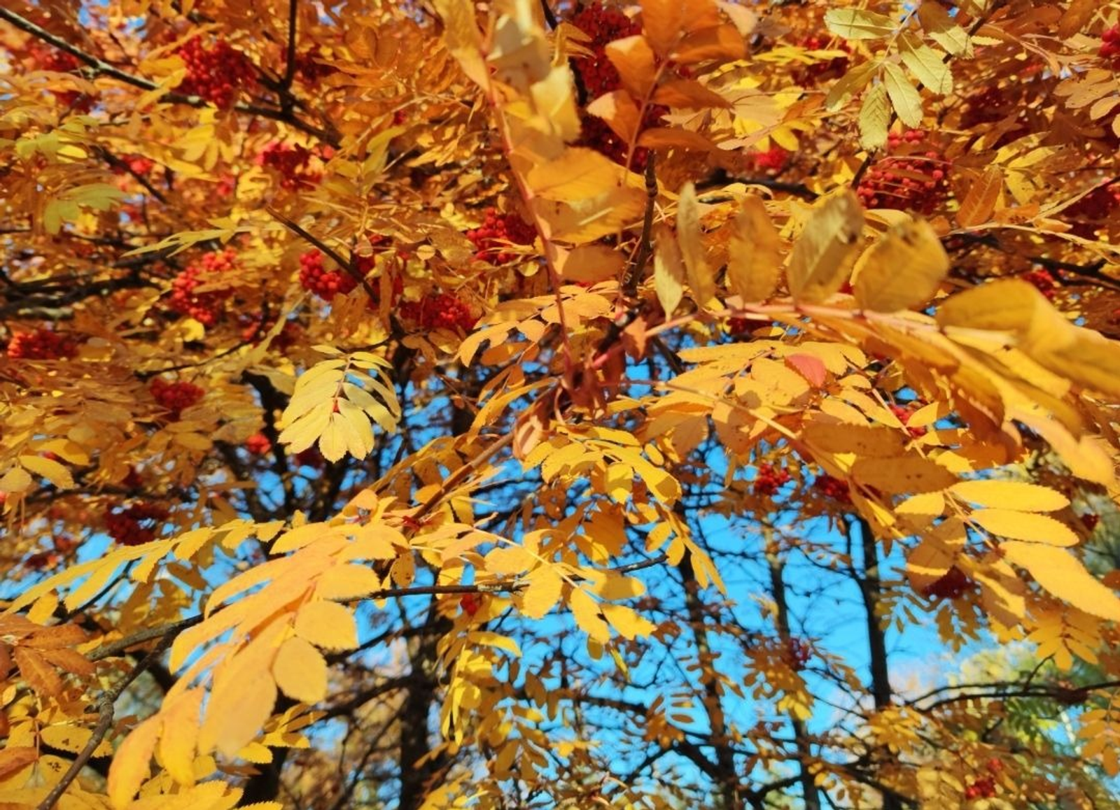 Дарьи Святохиной.