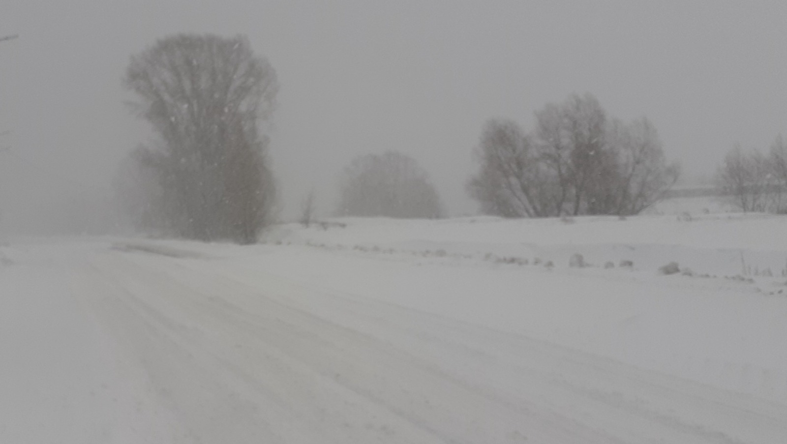 Владимира Шакиева.