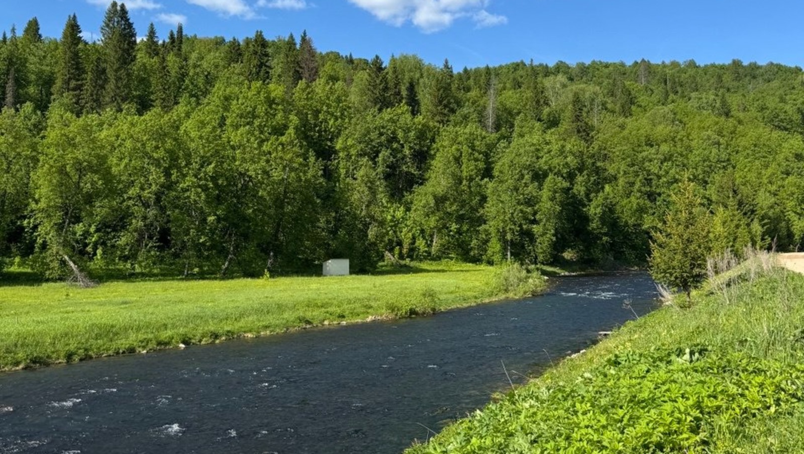 Елены Колоколовой.