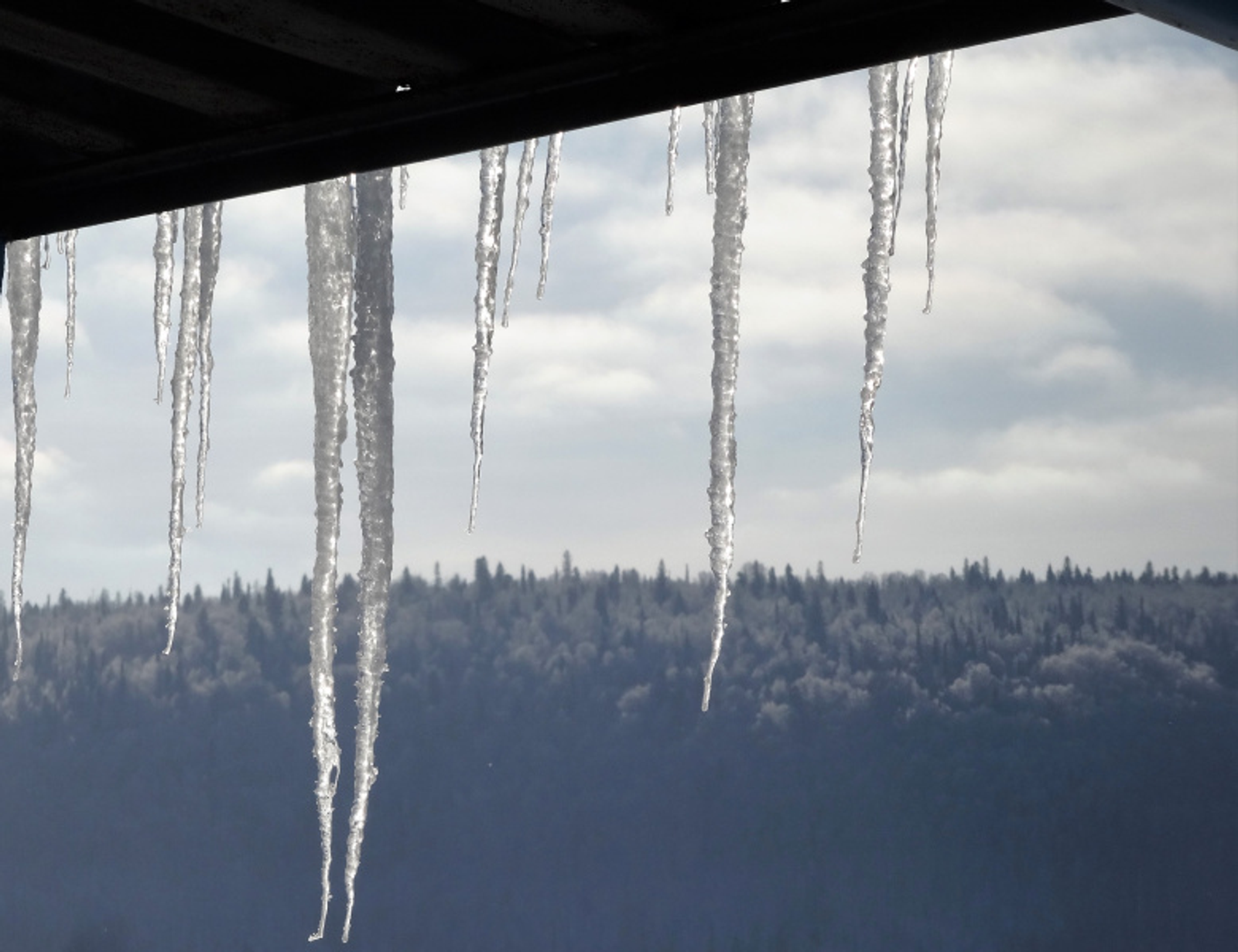 Фото Елены Колоколовой.