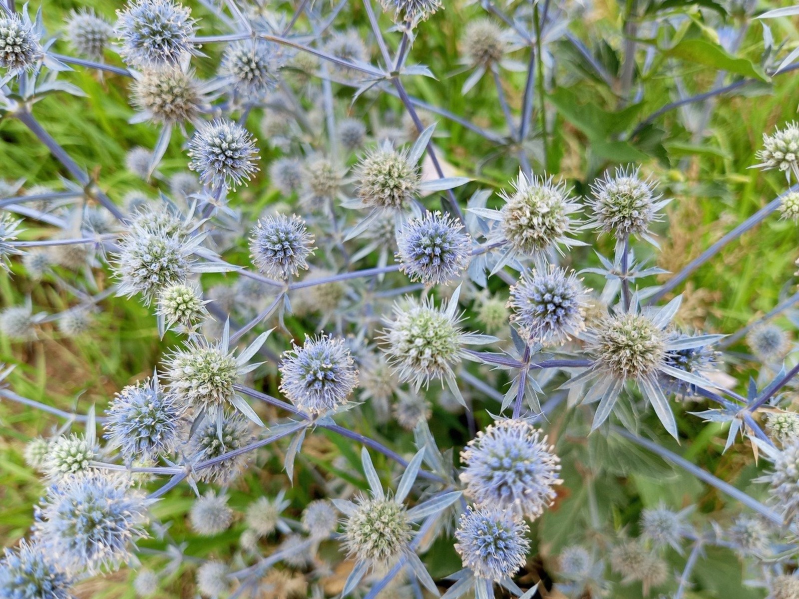 Евгении Сюткиной.