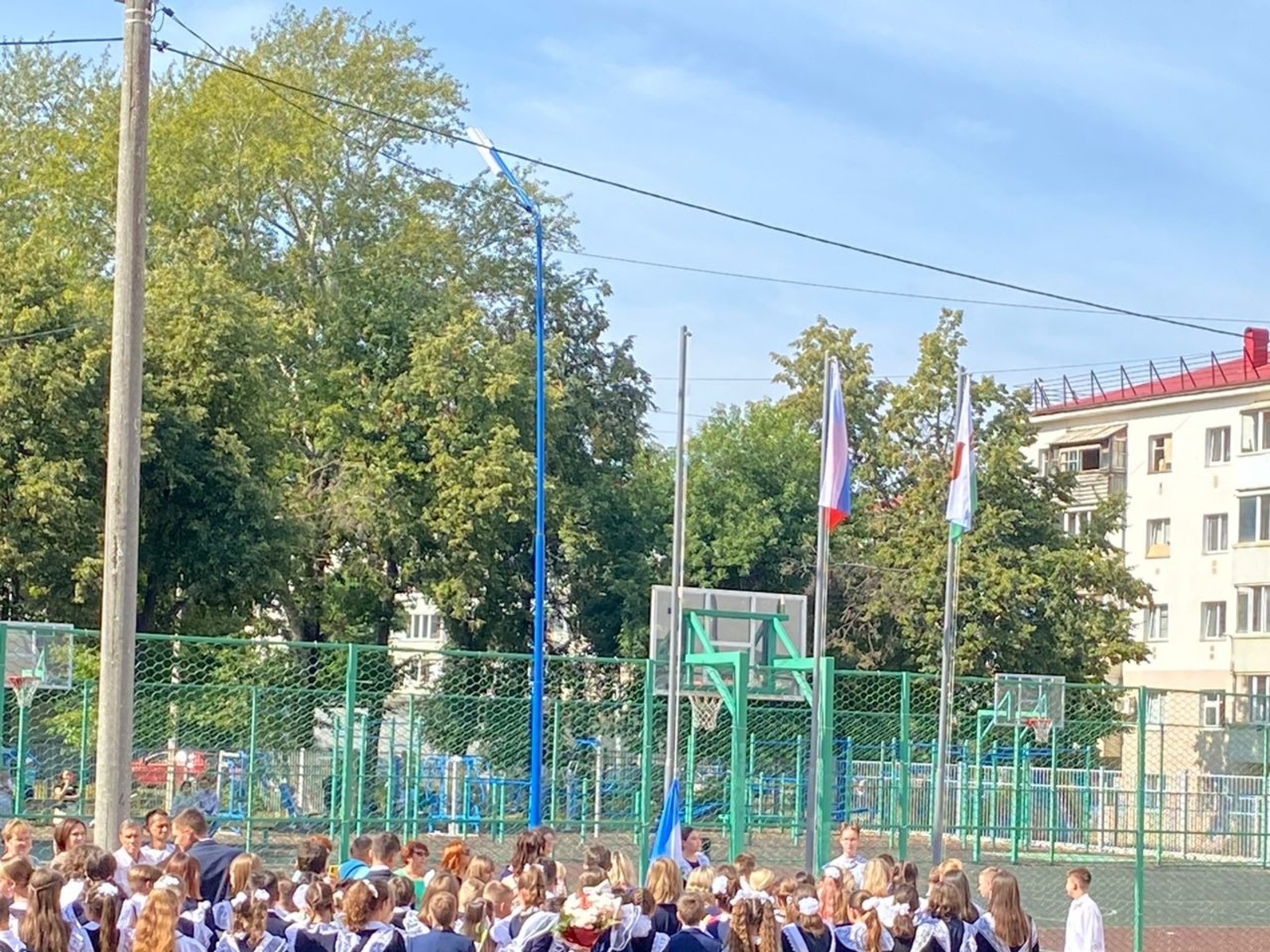 Елены Колоколовой.