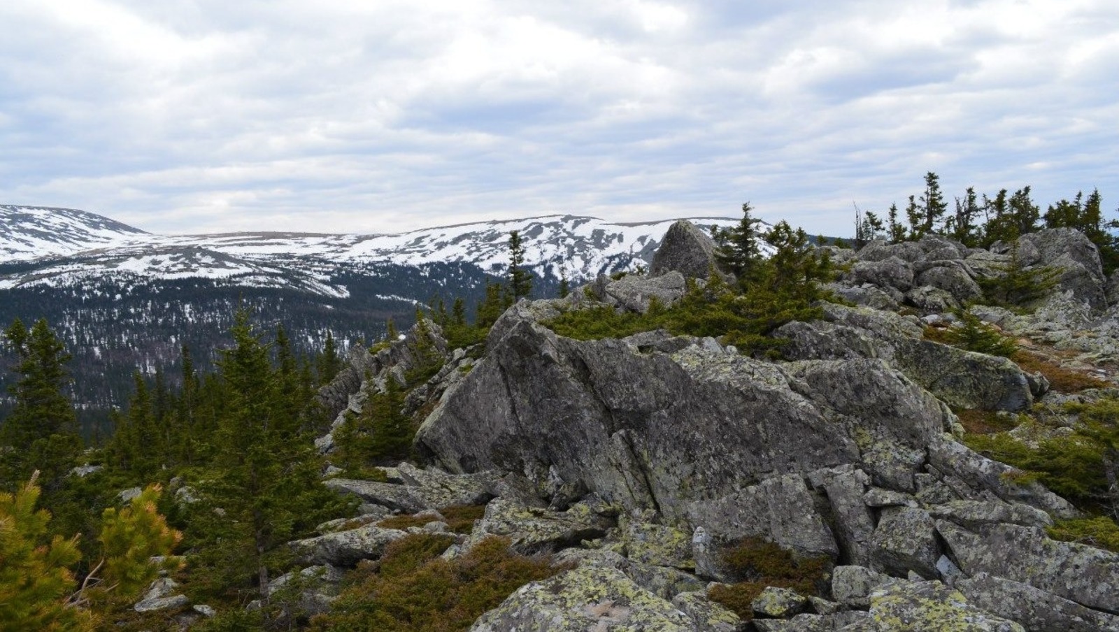 Владимира Шакиева.