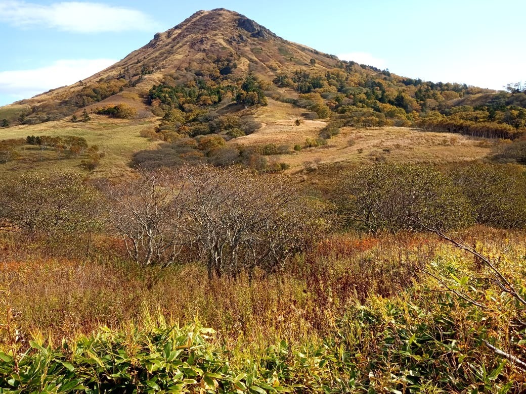 предоставлено Сергеем Сиротой.