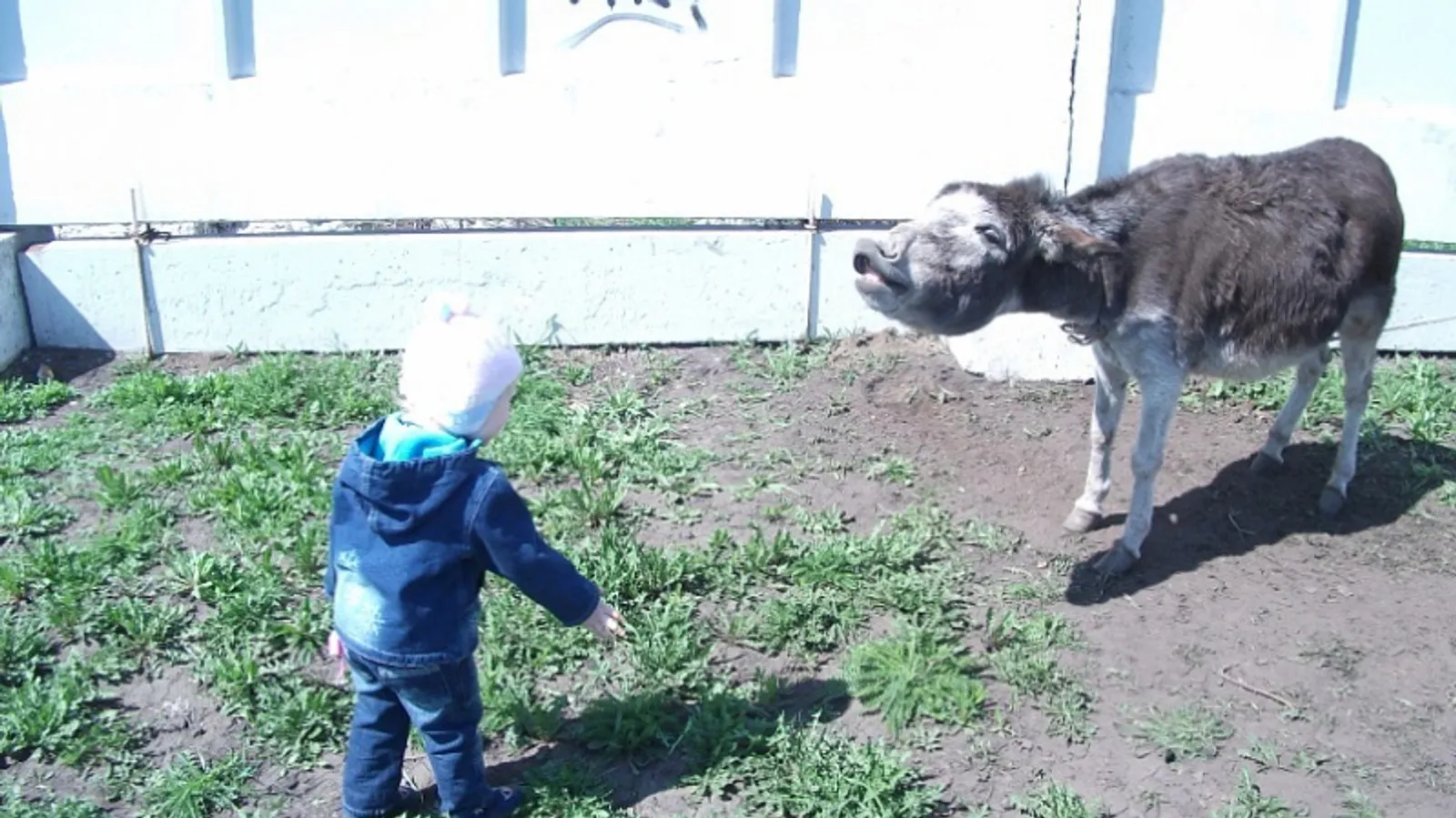 Фото Васили Саитовой.