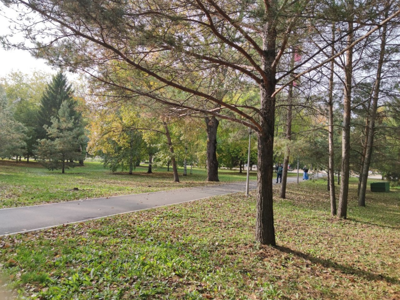 Дарьи Святохиной.