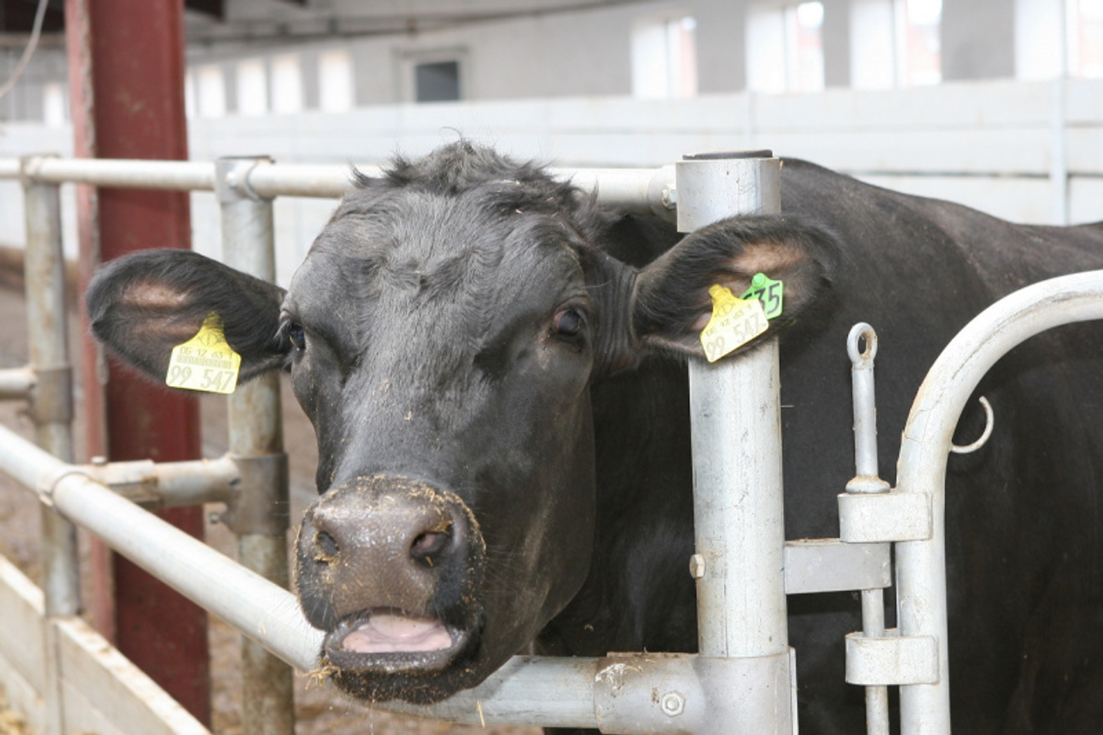 Фото Олега Яровикова.