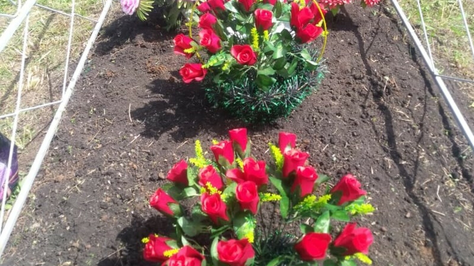 Фото Евгении Сюткиной.