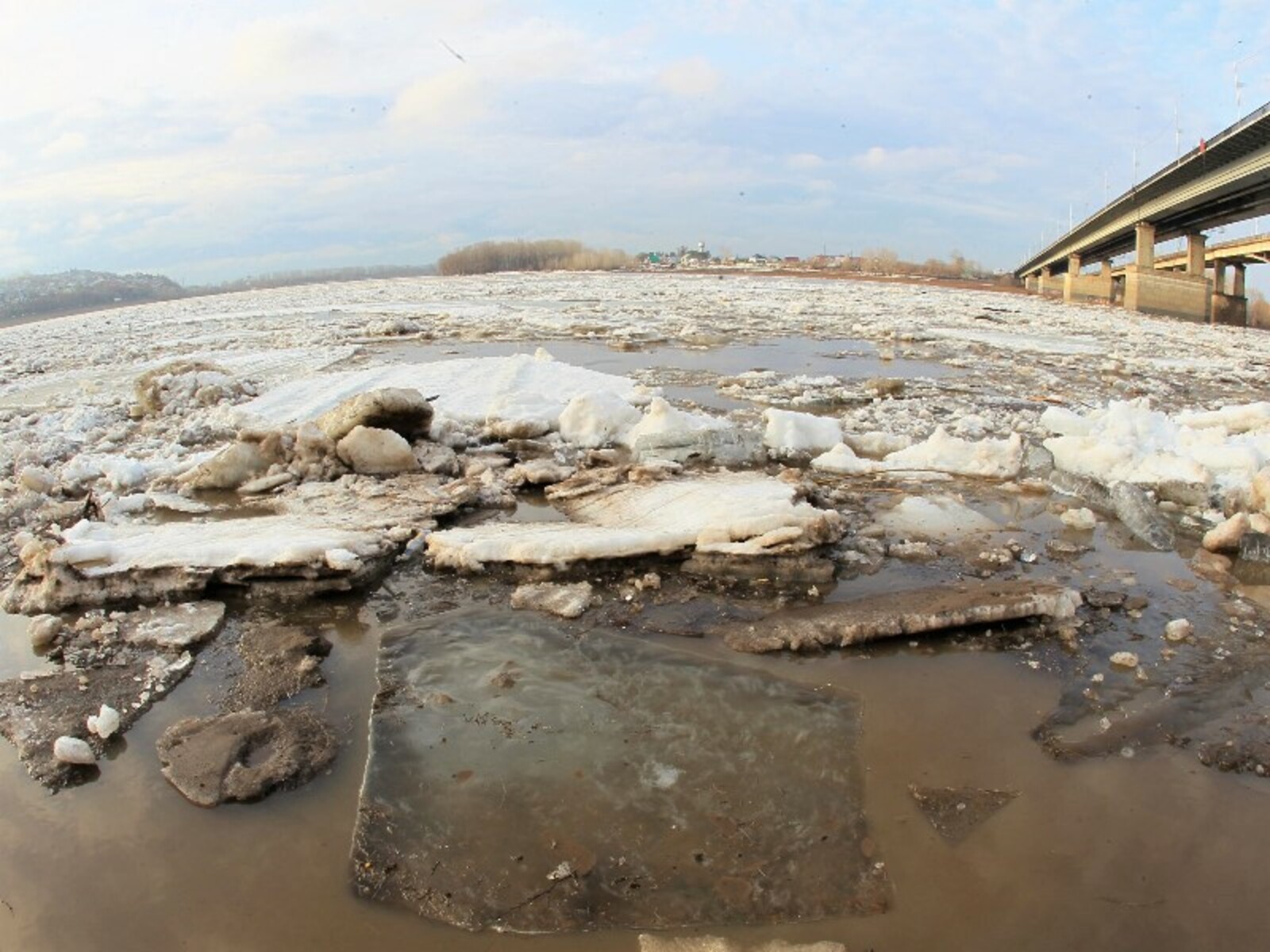 Фото Олега Яровикова.