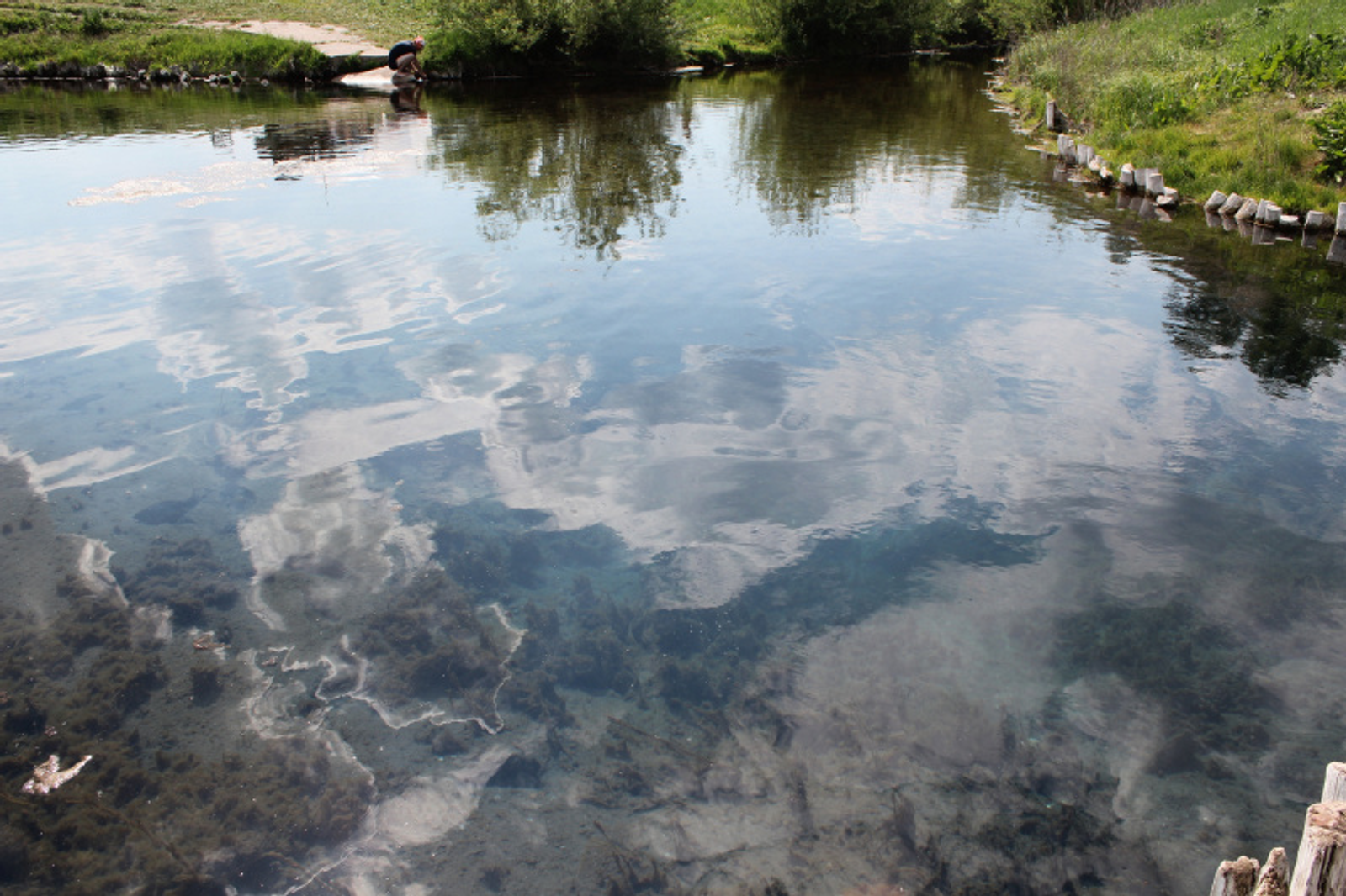 Фото автора.