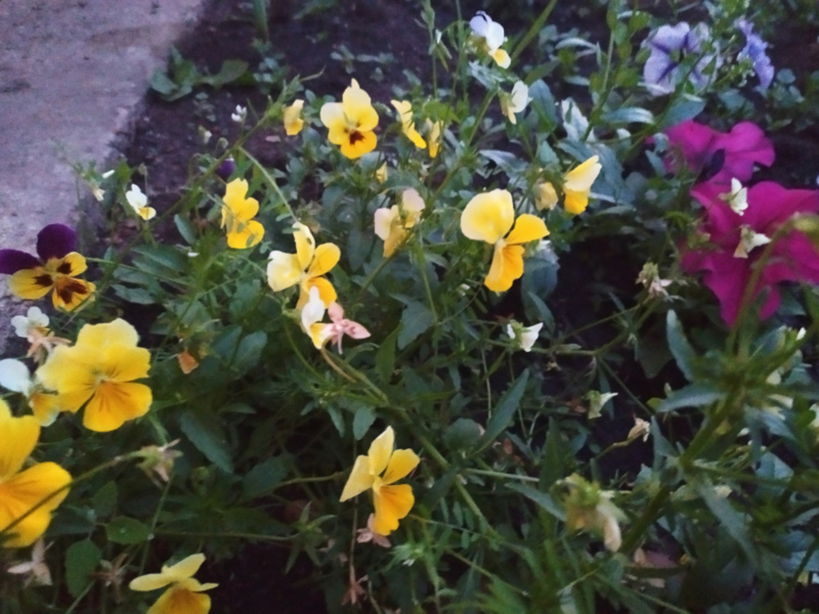 Фото Васили Саитовой.