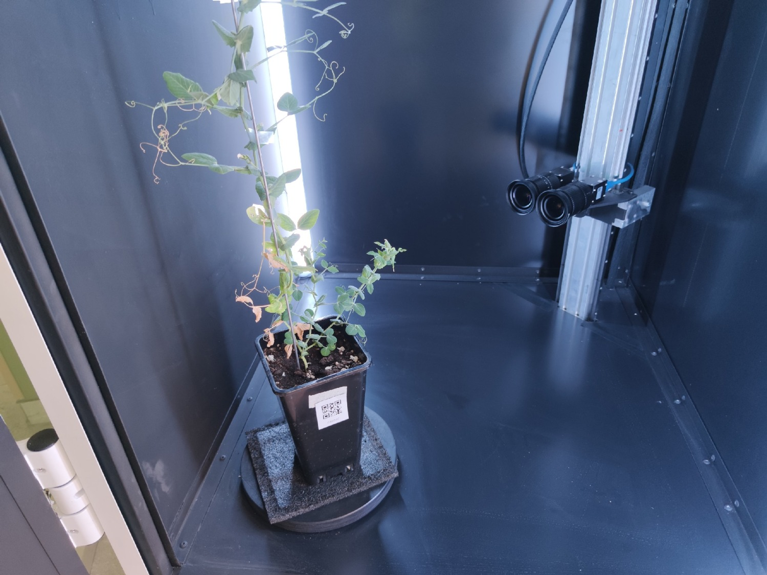 Дарьи Святохиной. «Общественная электронная газета».