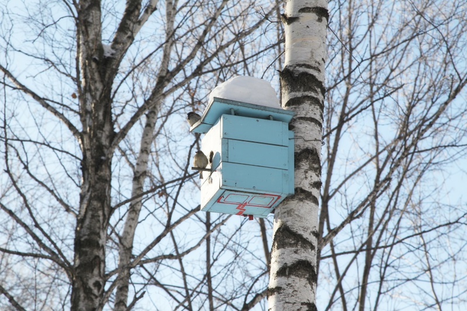 Фото Олега Яровикова.