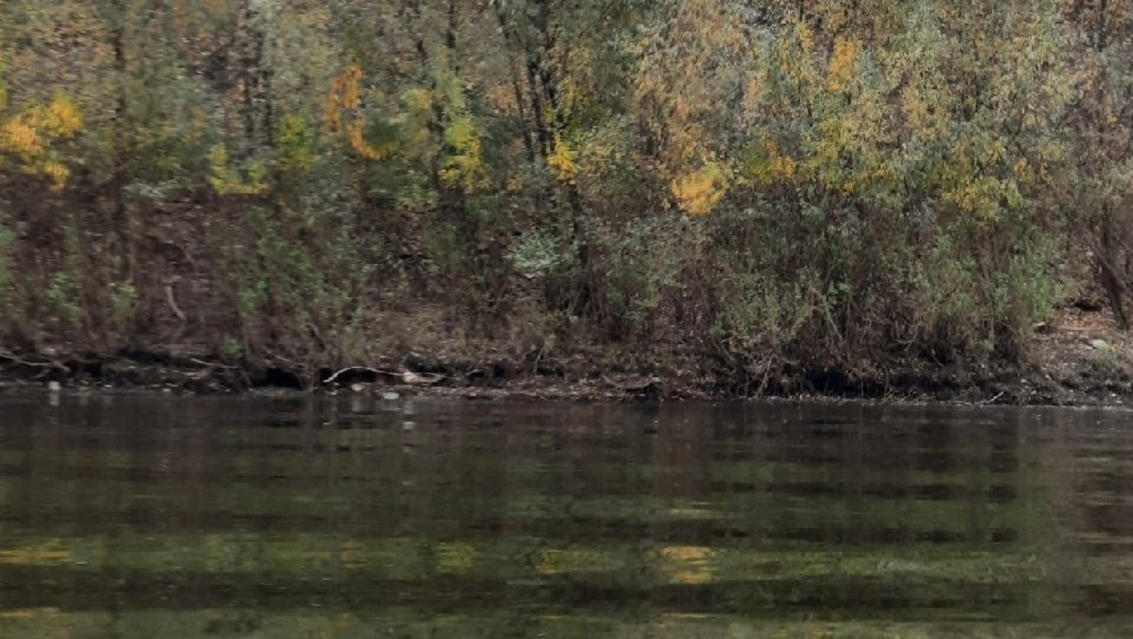 Teiegram Управления гражданской защиты Уфы.