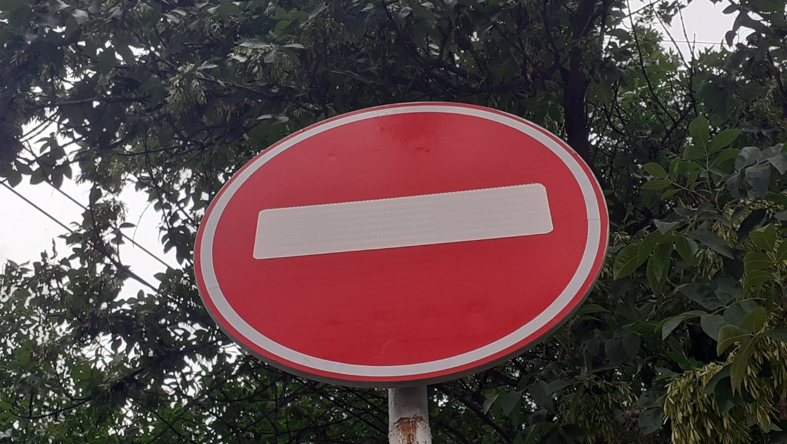 Владимира Шакиева.