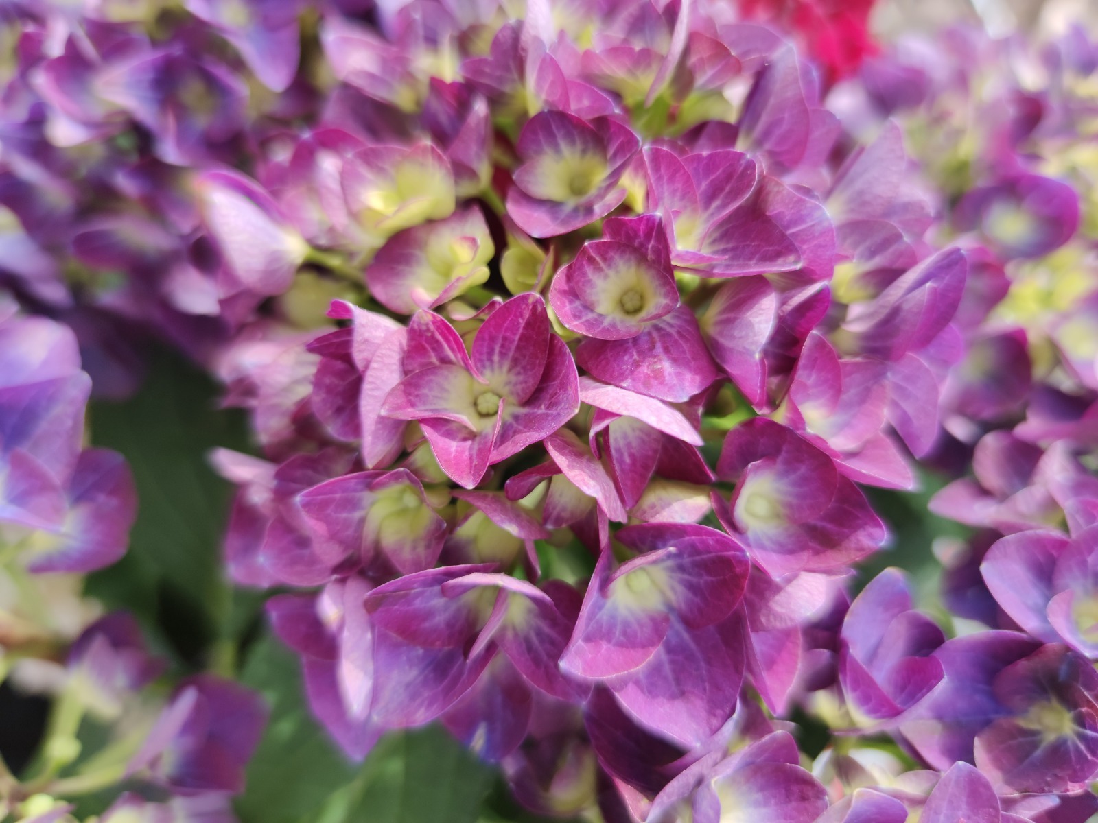 Дарьи Святохиной.