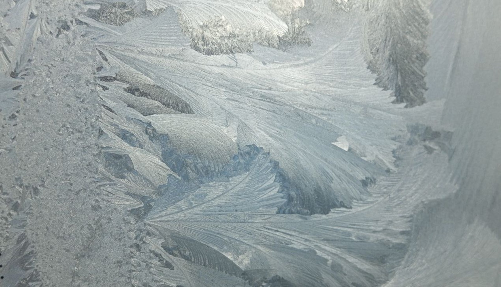 Евгении Сюткиной. «Общественная электронная газета».